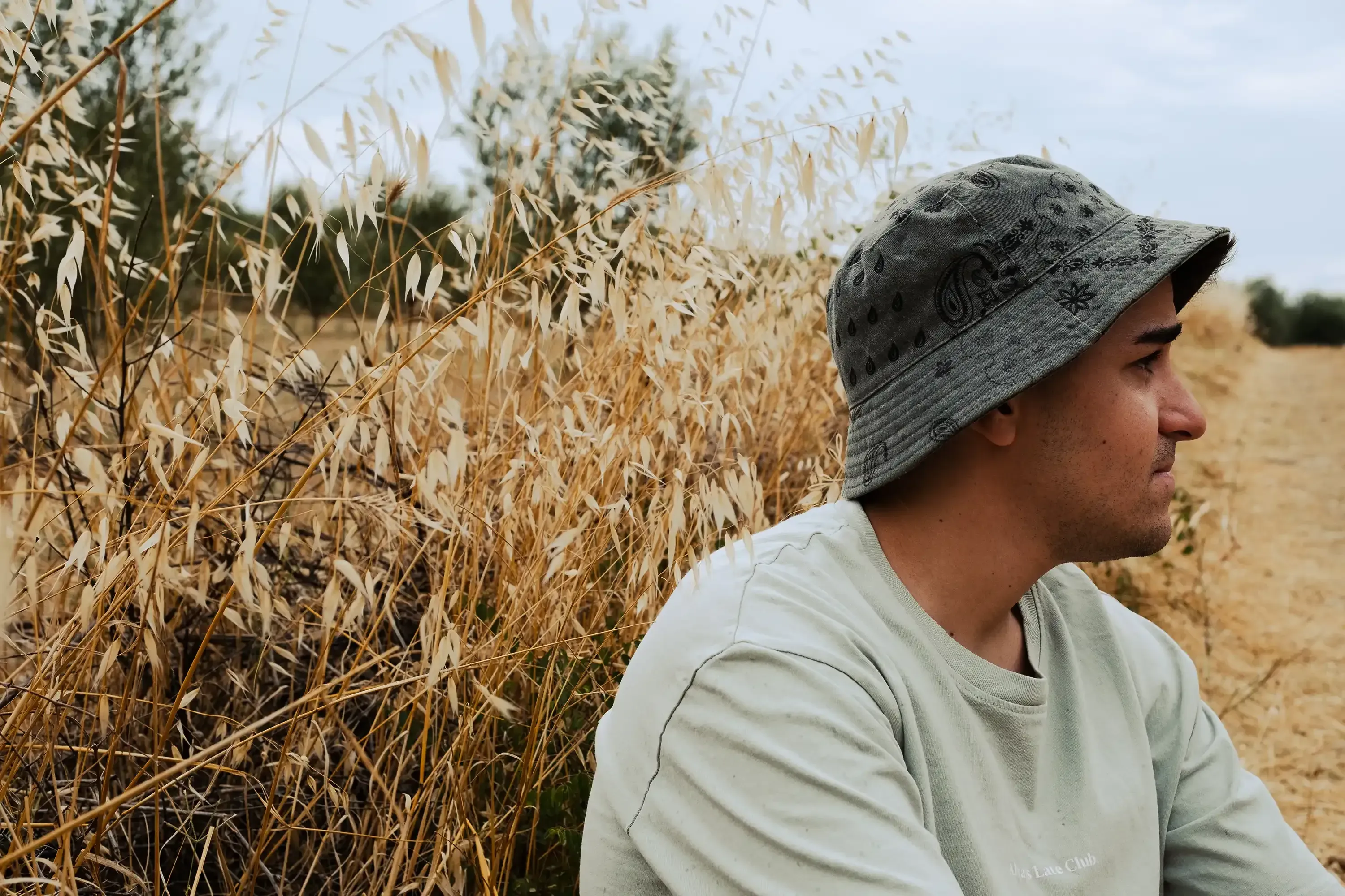 Ieser posing or standing in a large, open field in the Albanian countryside under the sun.