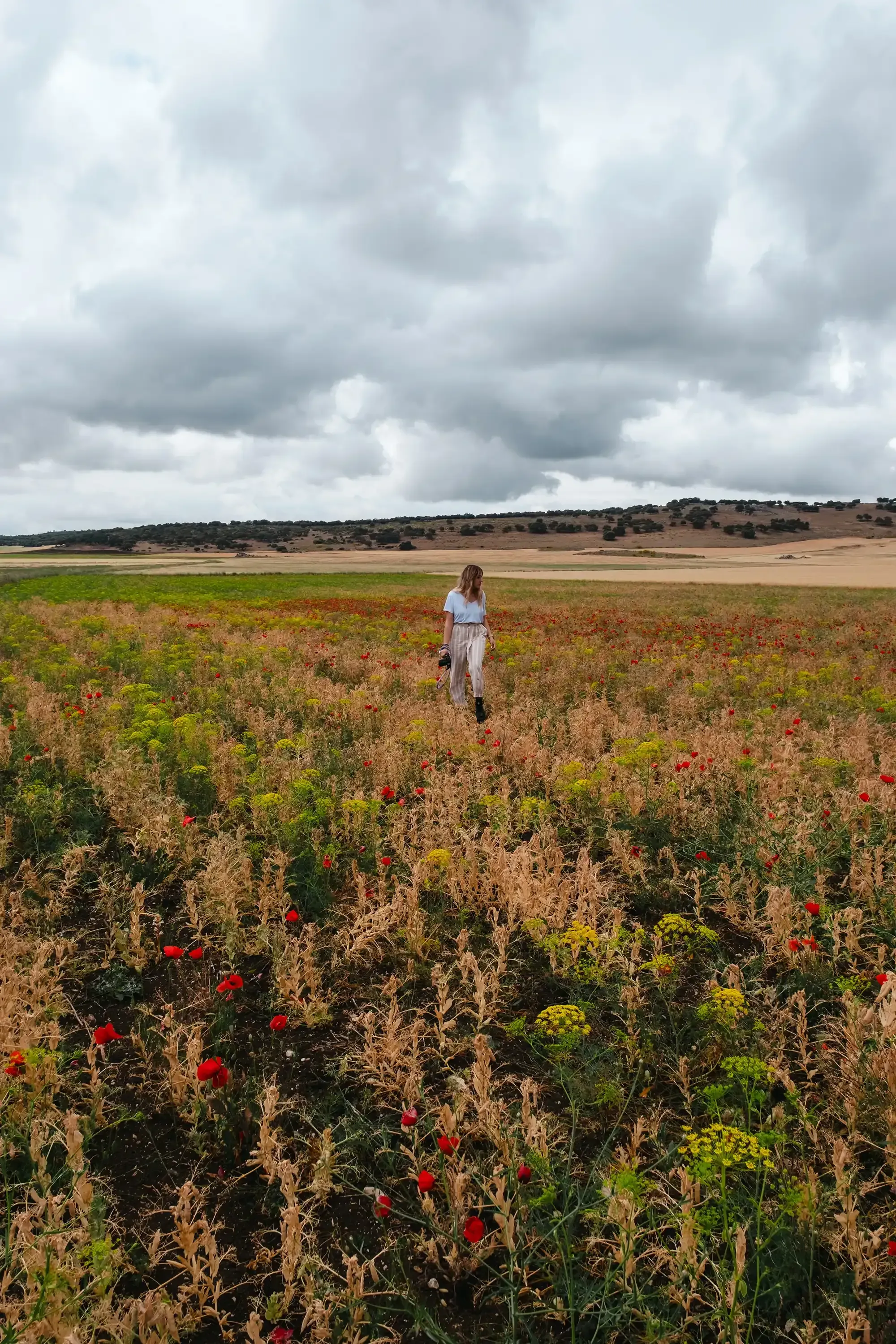 Letizia walking through fields covered in colorful flowers.