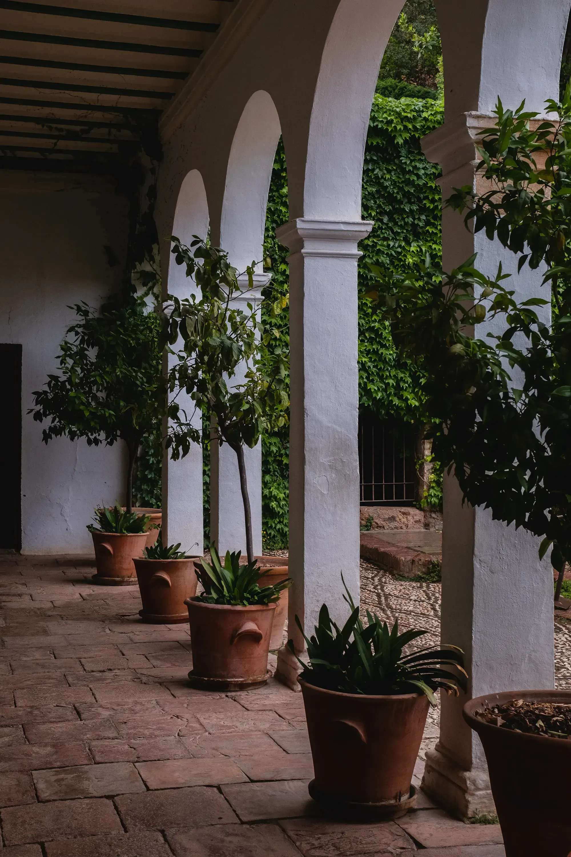 A view showing potted plants arranged along a white columned arcade.