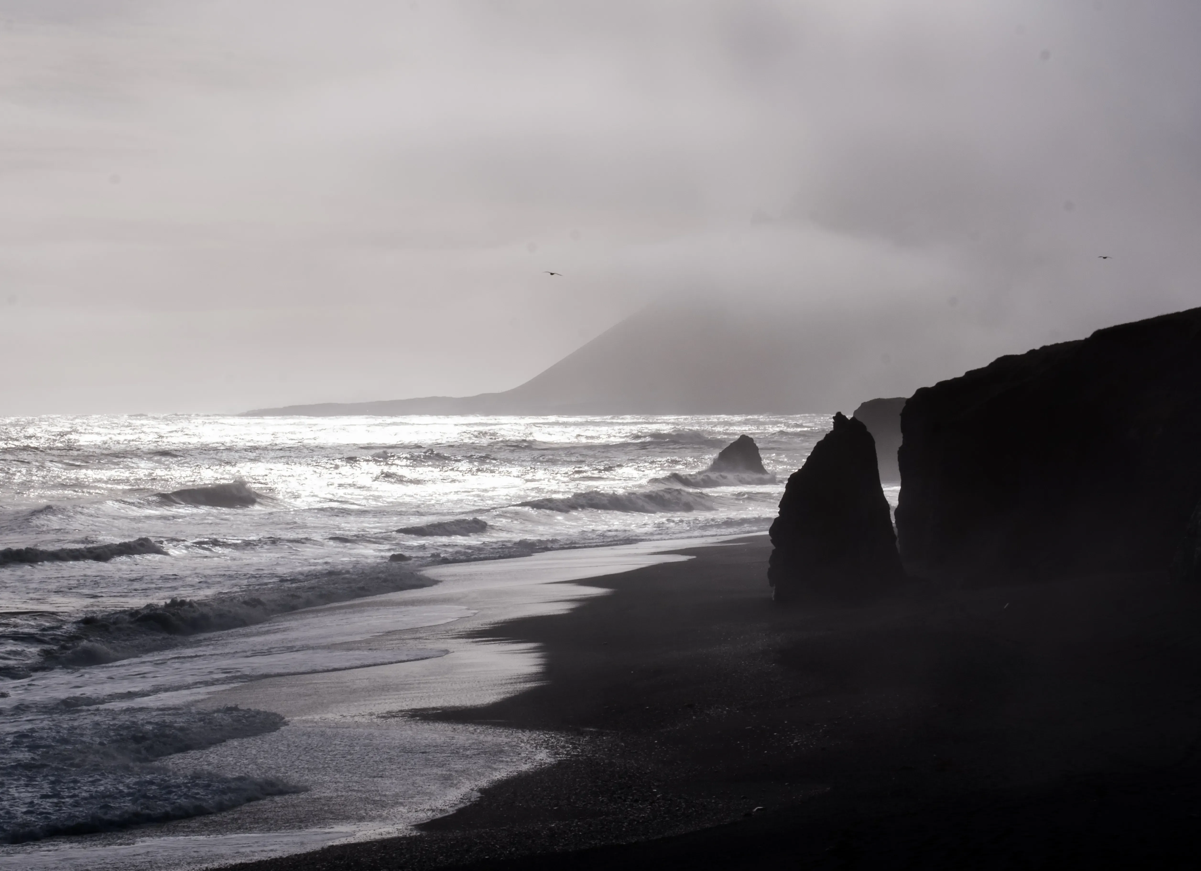 A sweeping view of a volcanic black sand beach on the East Coast of Iceland.