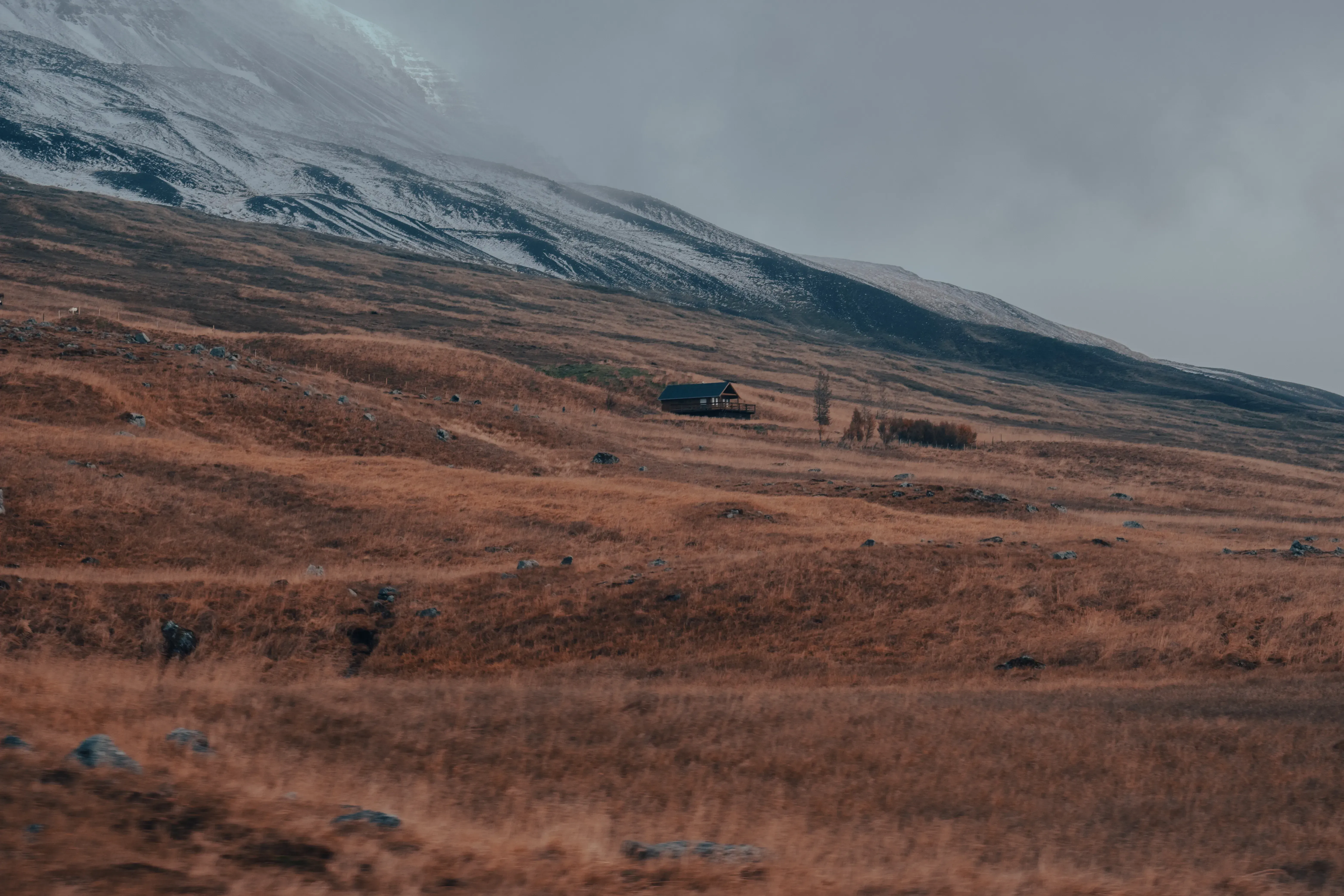 A traditional Icelandic farmhouse situated in the rural countryside, with snow-capped mountains visible in the background.