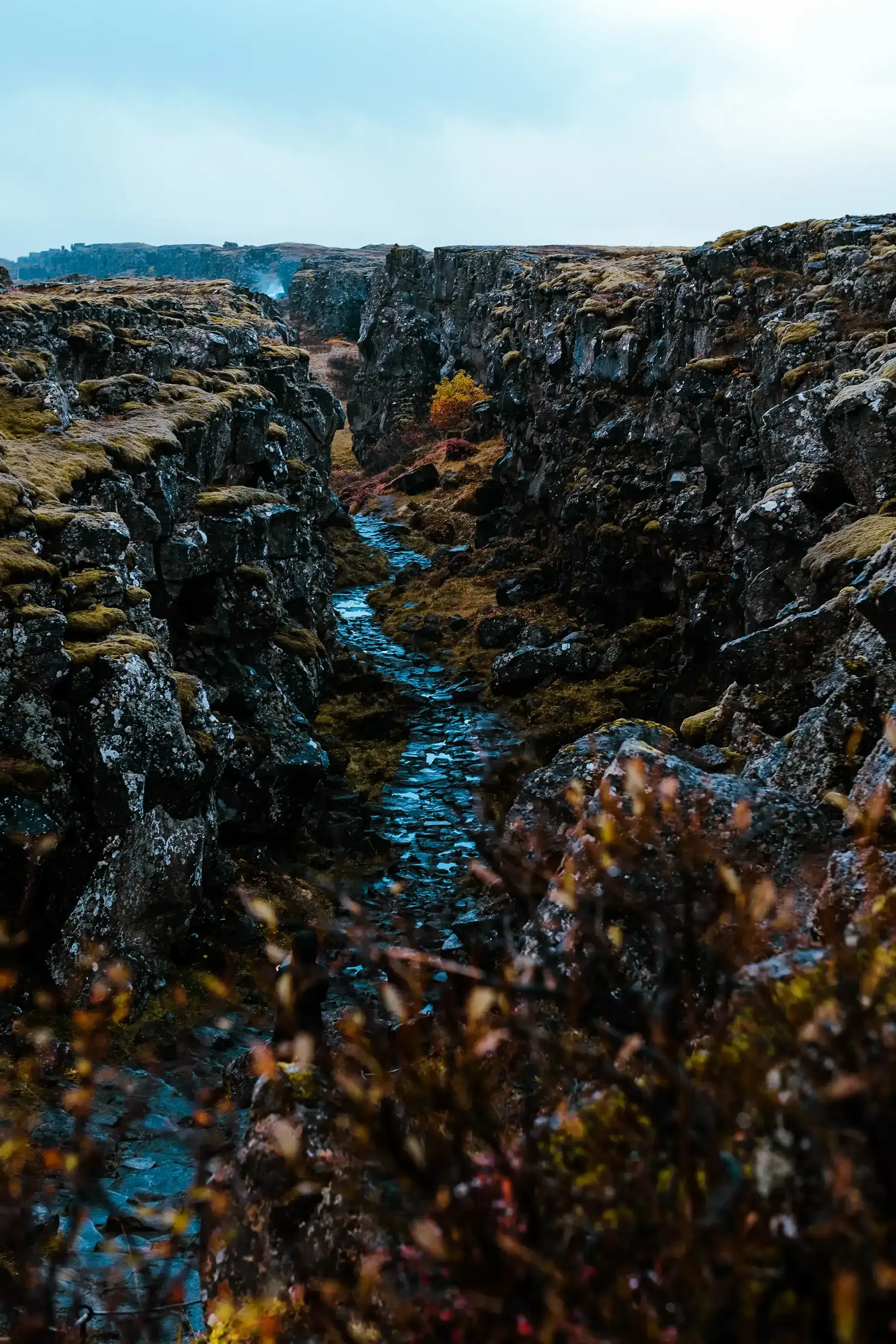 The fissure or boundary marking the tectonic meeting point of the North American and Eurasian plates in Iceland.