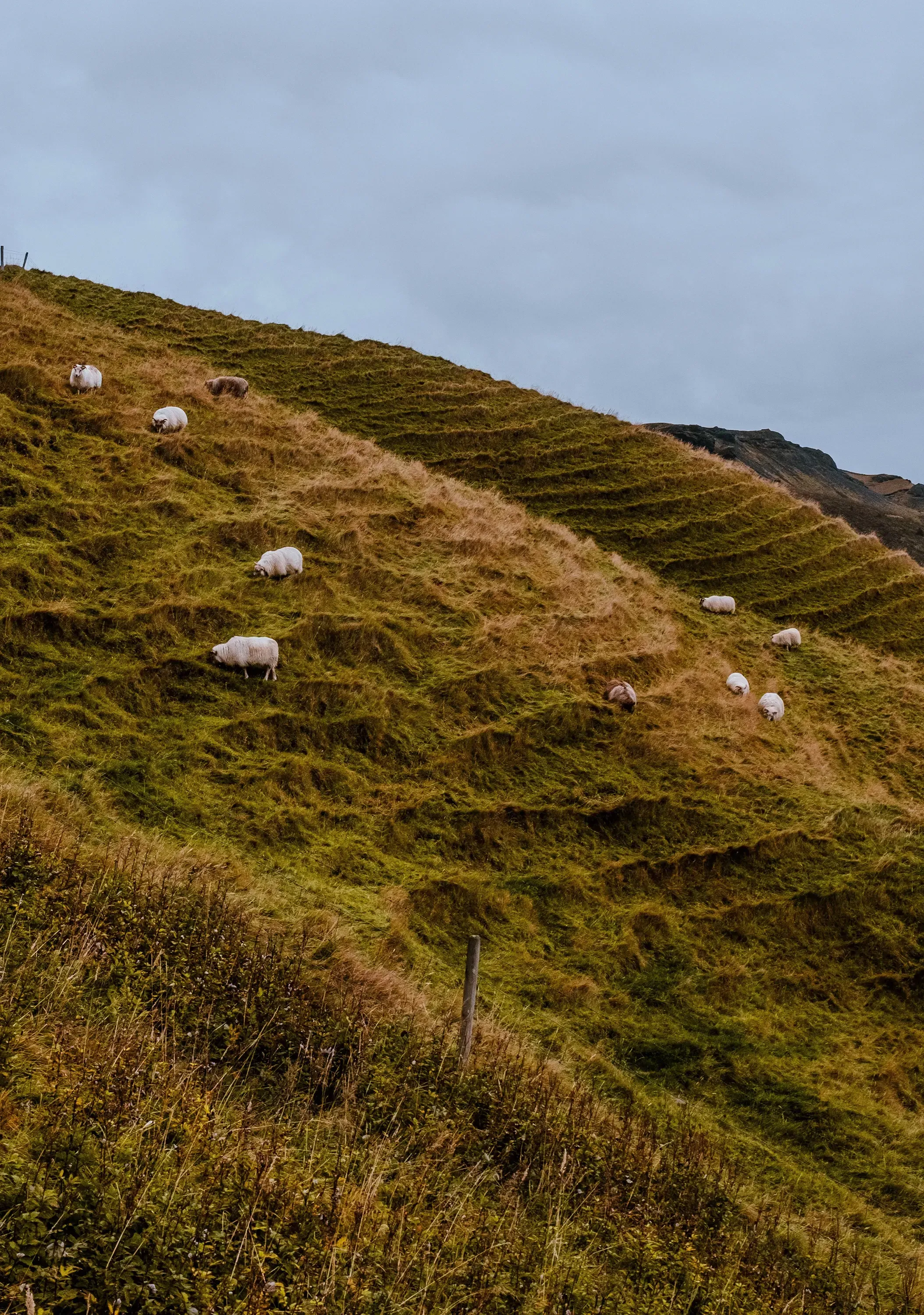 Lush green fields and meadows surrounding the Skógafoss waterfall in the Icelandic countryside.