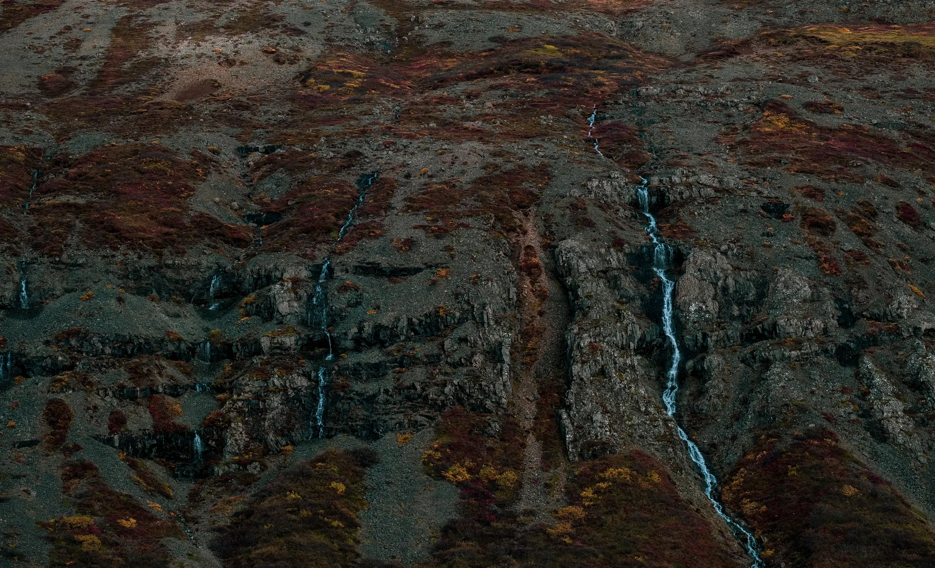 A small, clear mountain stream flowing over rocks in a natural setting.
