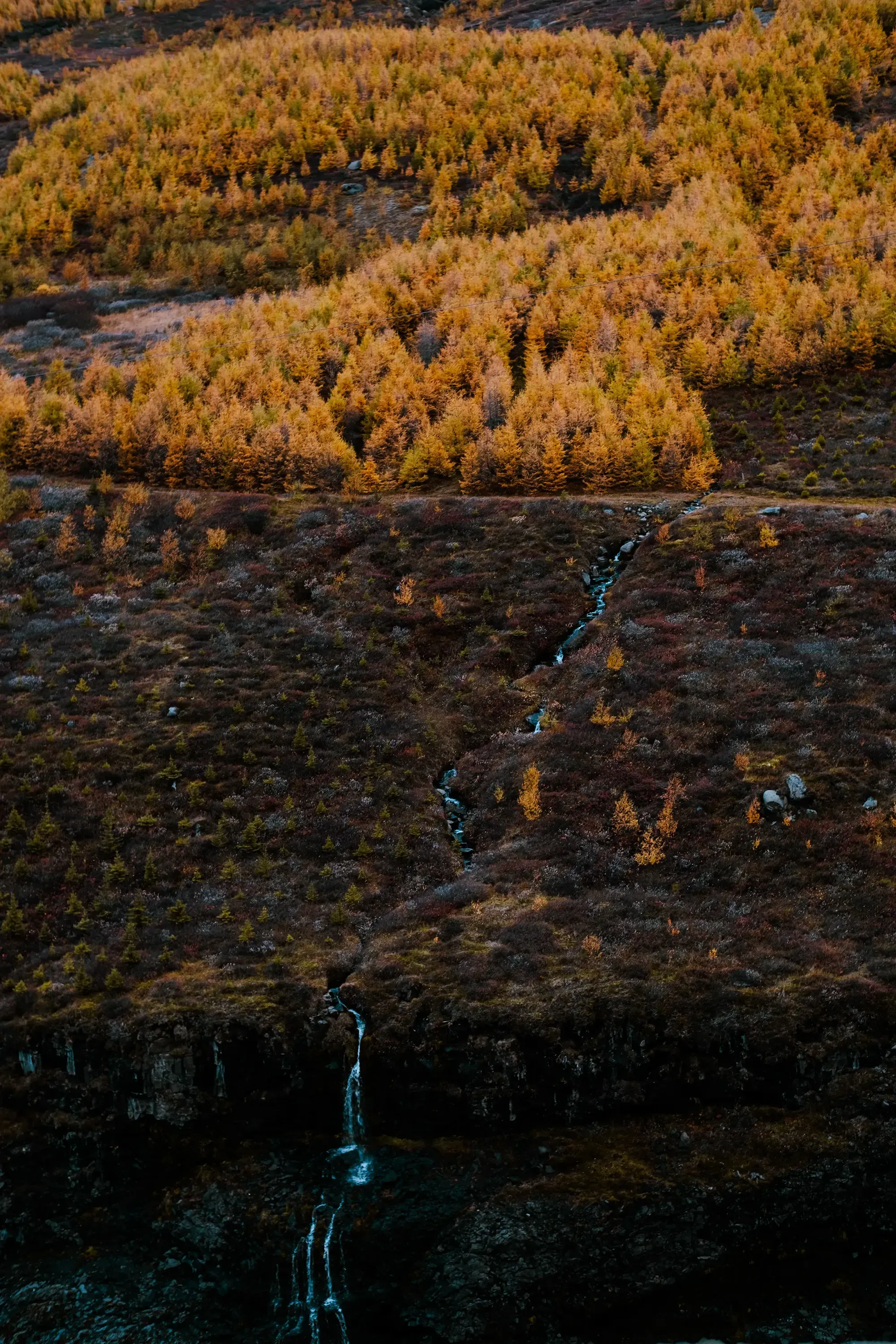 A view of a small forest area with a stream or creek flowing down the side of a mountain.
