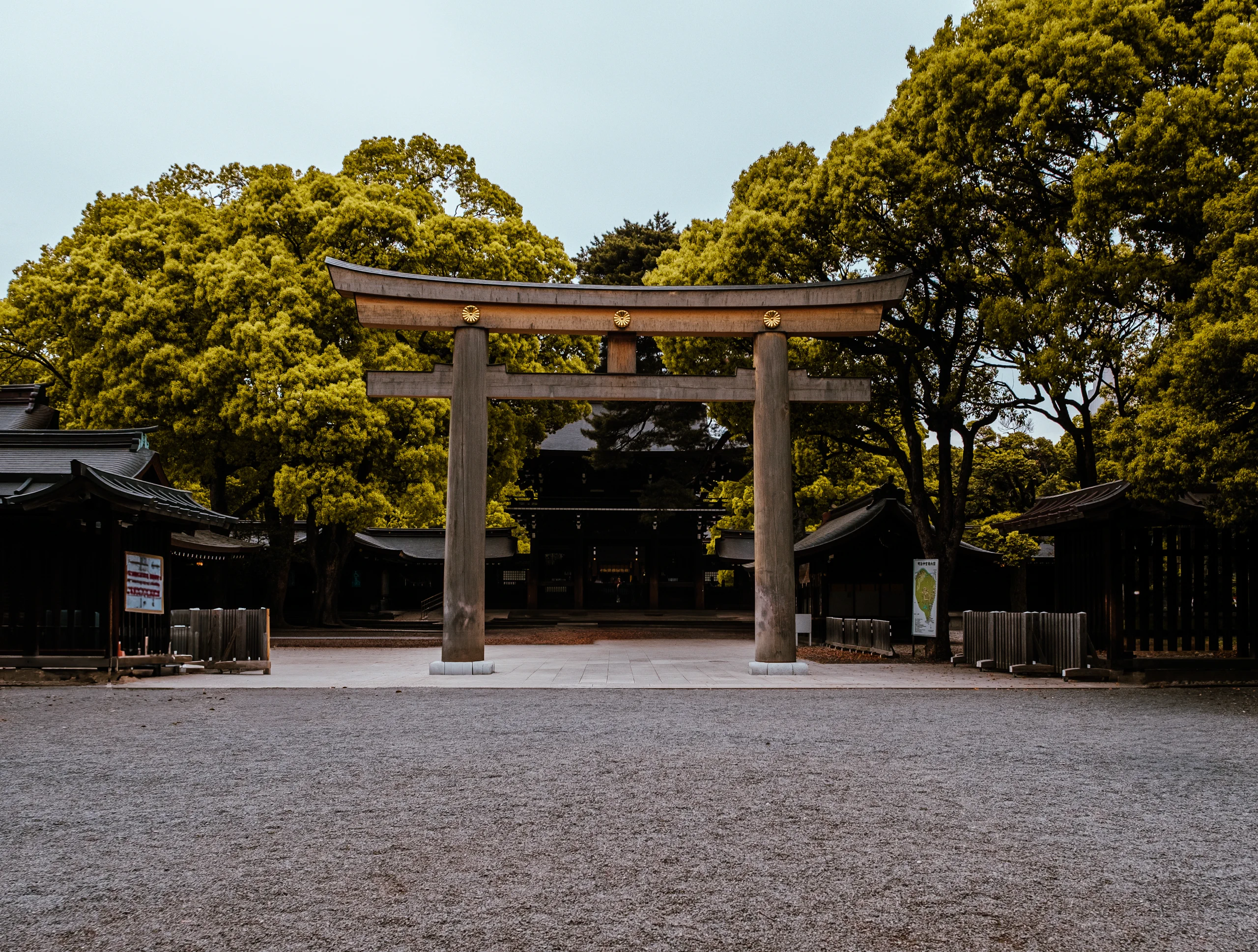 Large wooden Torii gate at the entrance of Meiji Jingu Shrine path