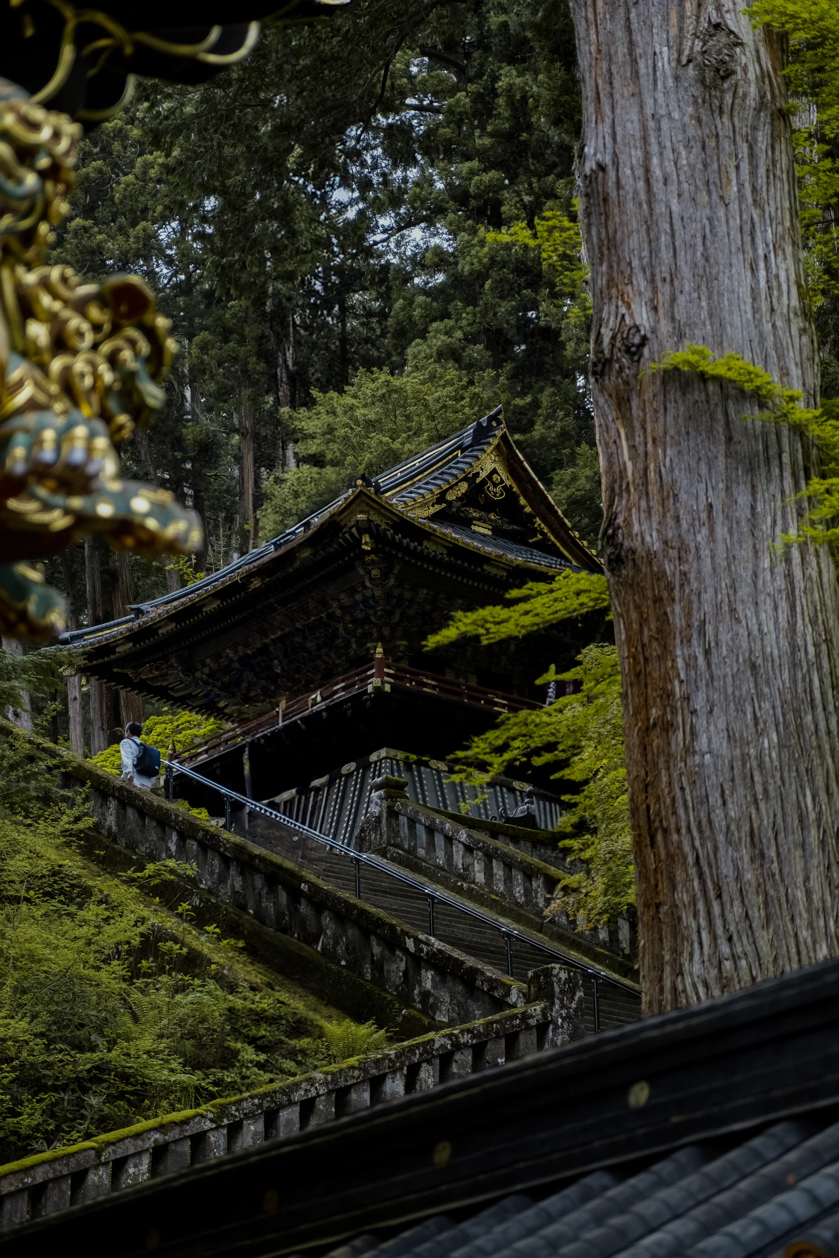 A pagoda in Nikko Temple area