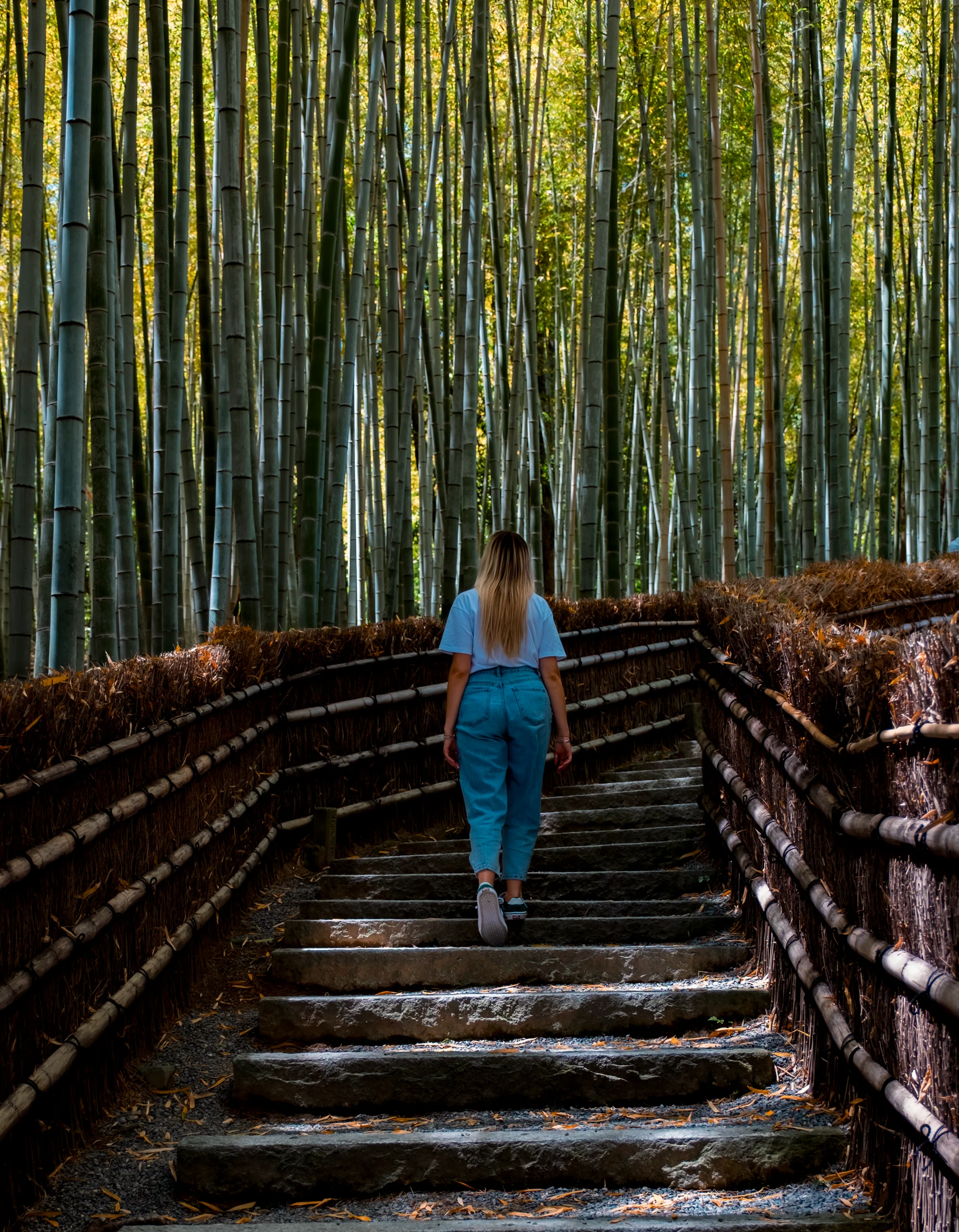 Letizia standing in the Arashiyama Bamboo Grove
