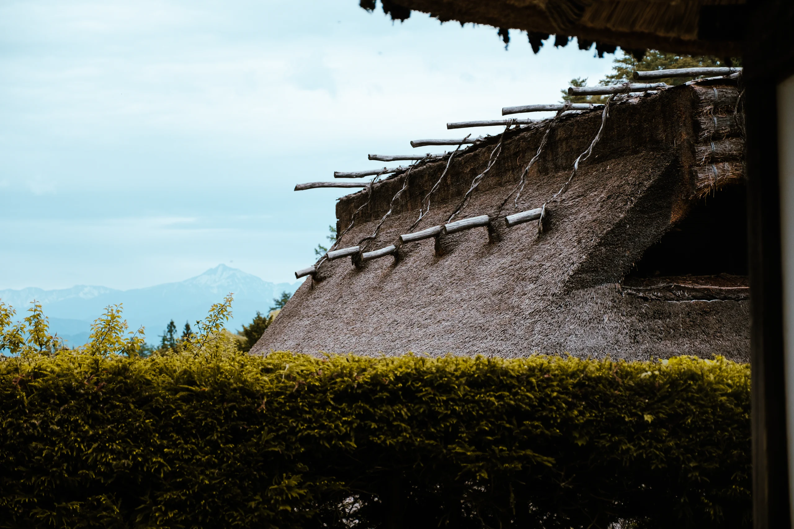 Thatched roof of a traditional Gassho-zukuri farmhouse in Shirakawago