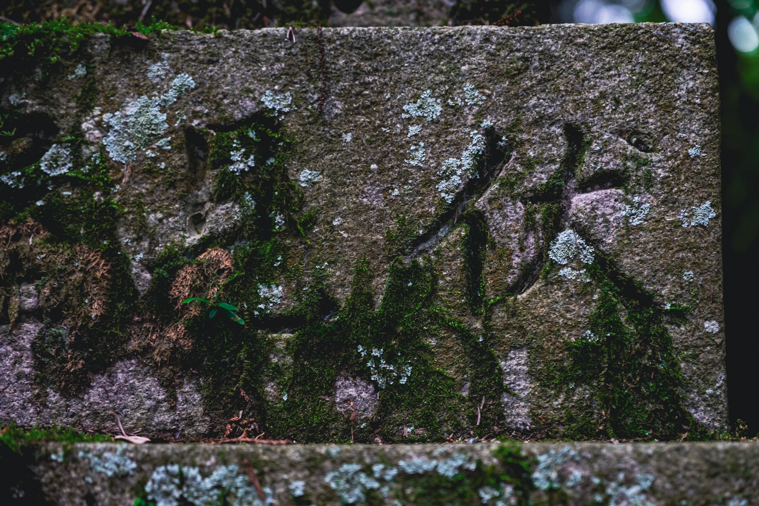 Stone monument with Japanese inscription in Nara
