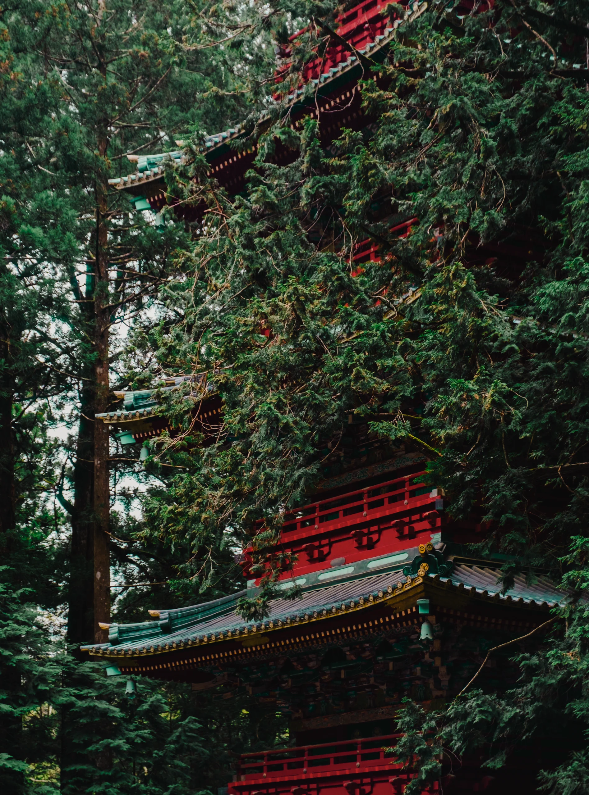 Five-story pagoda at Nikko Toshogu Shrine in Japan