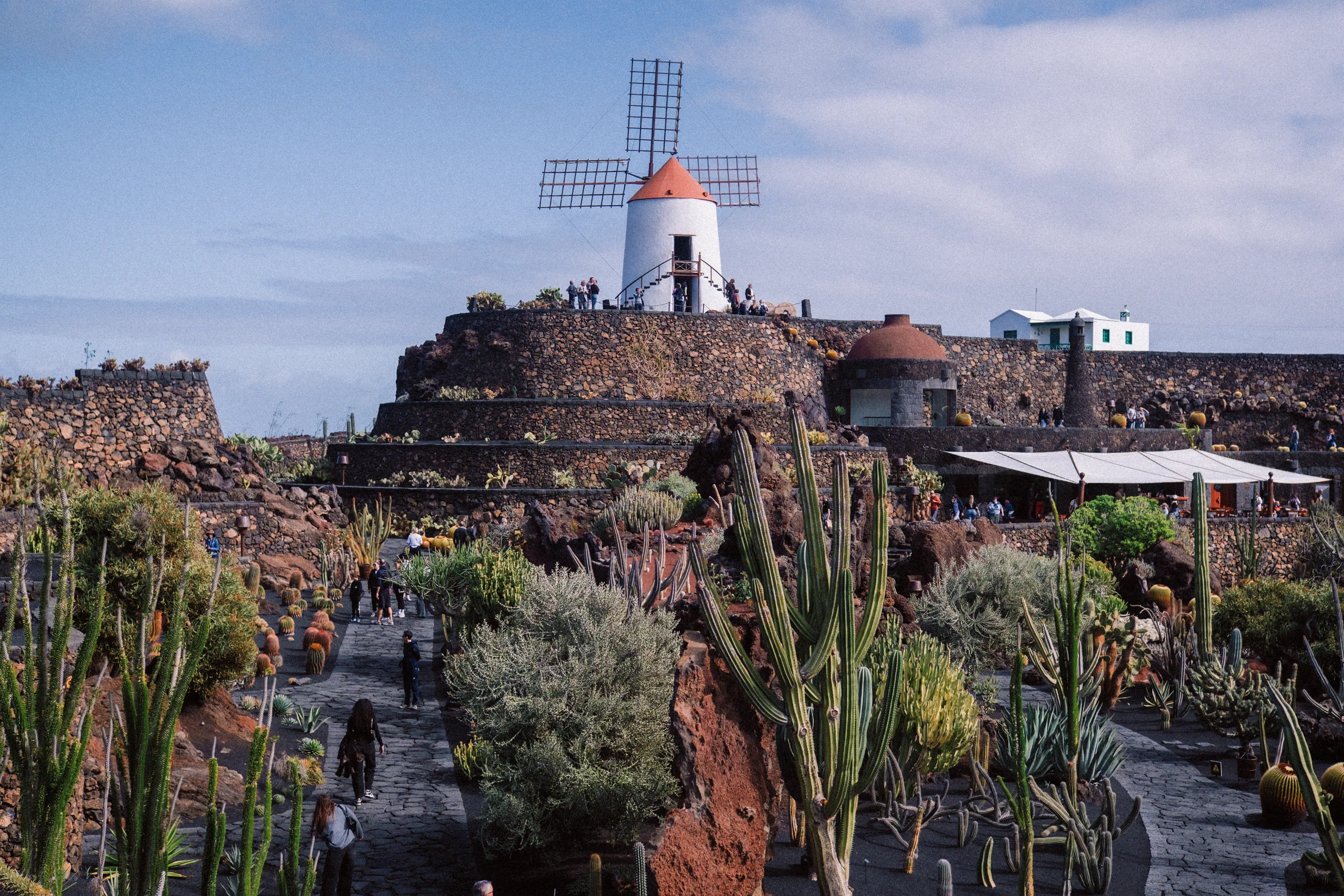 The traditional white windmill overlooking the Jardin de Cactus.