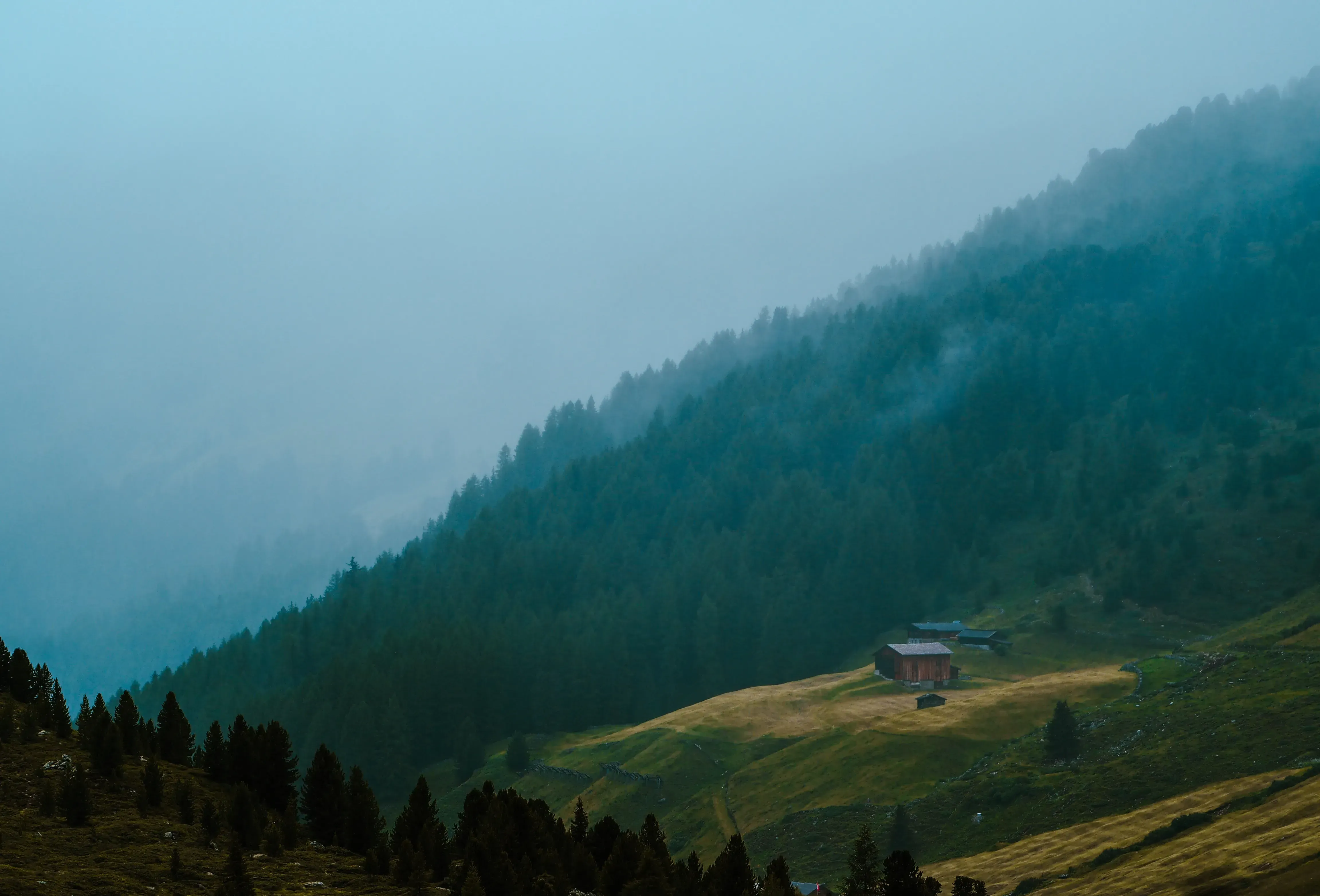 Chalet illuminated by bright sun nestled among the dense forests of Liechtenstein.