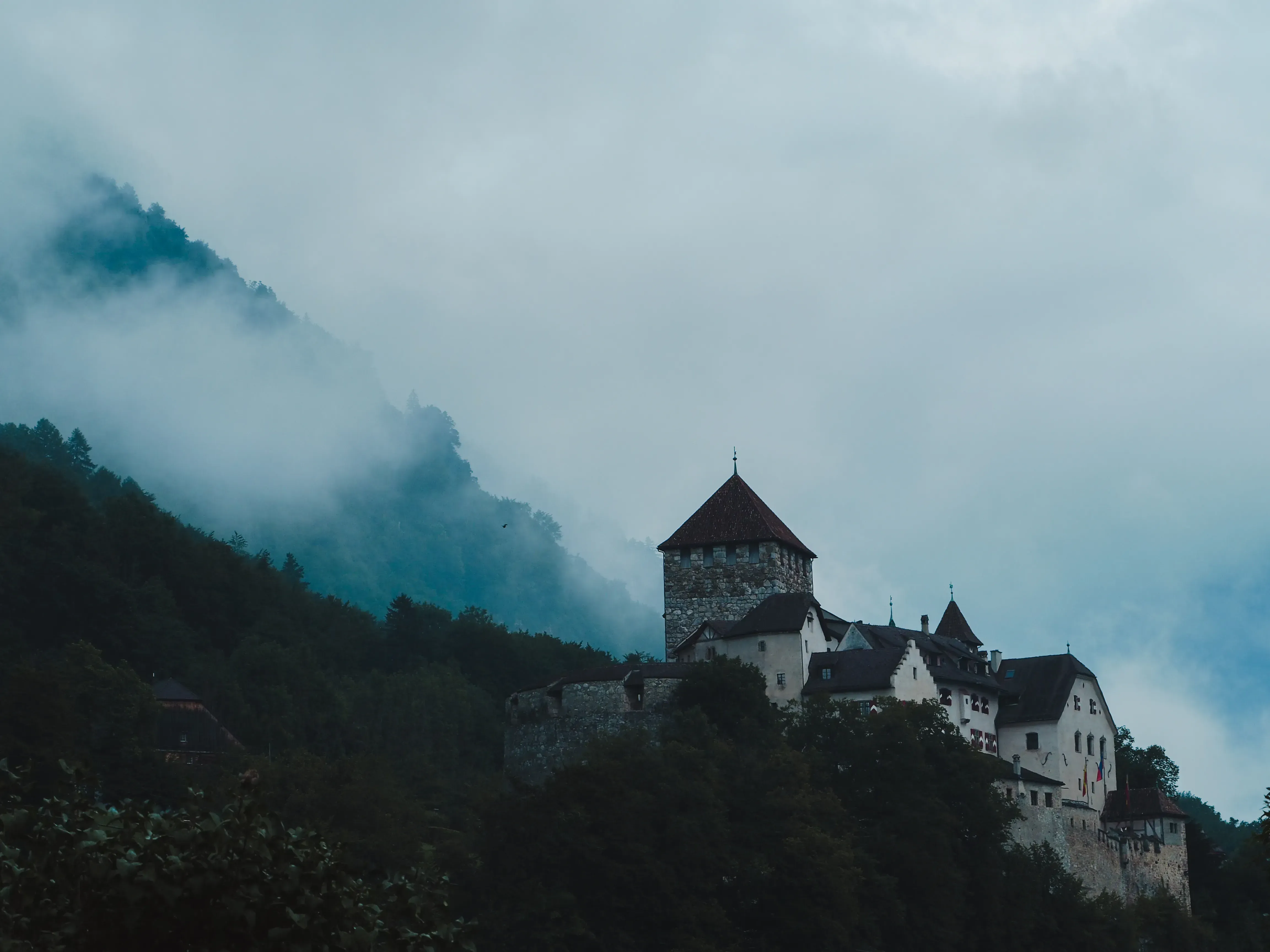 The iconic Vaduz Castle emerging dramatically from low-lying clouds.