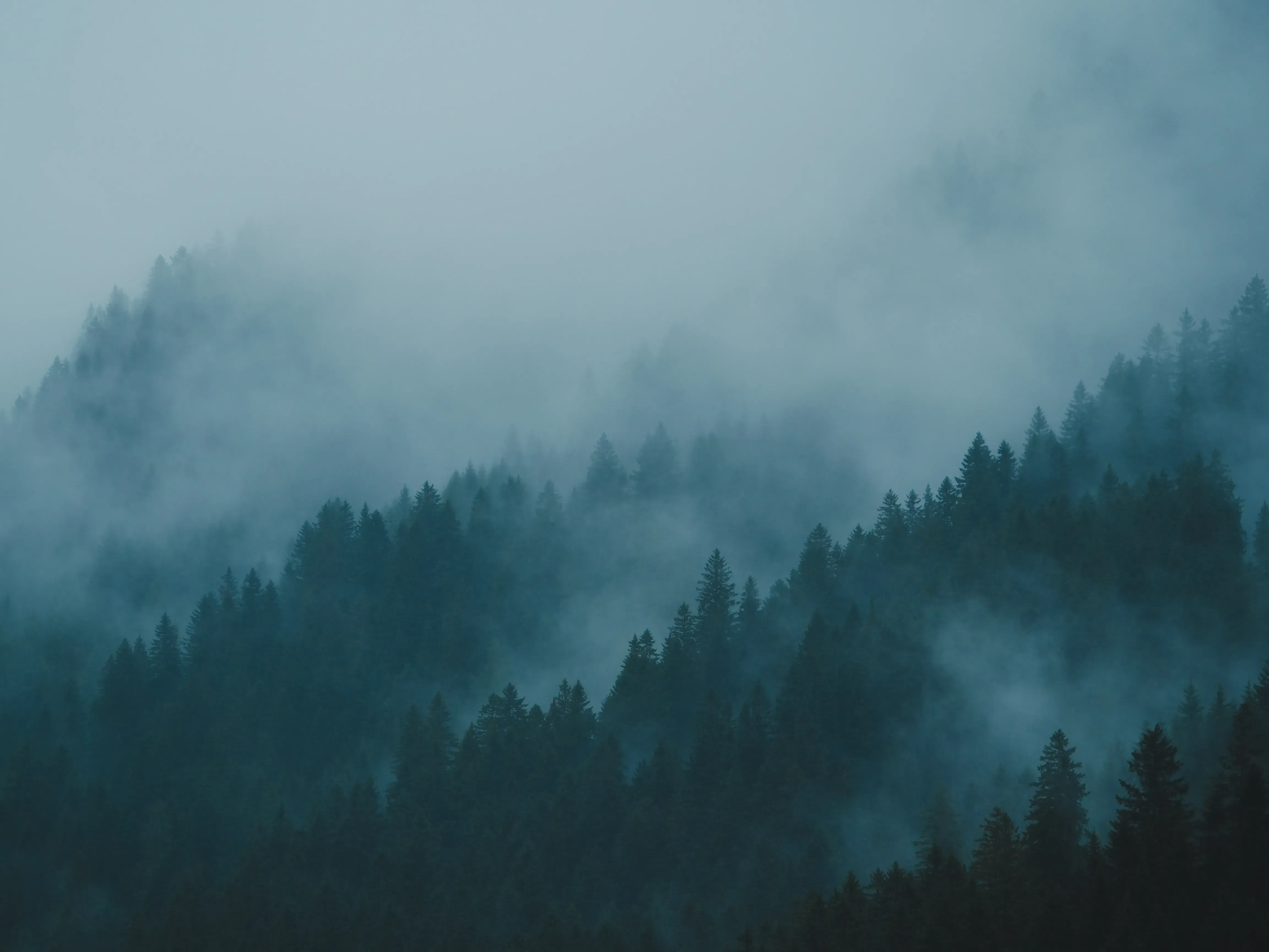 Mountain forests and valleys of Liechtenstein partially covered by rolling clouds.