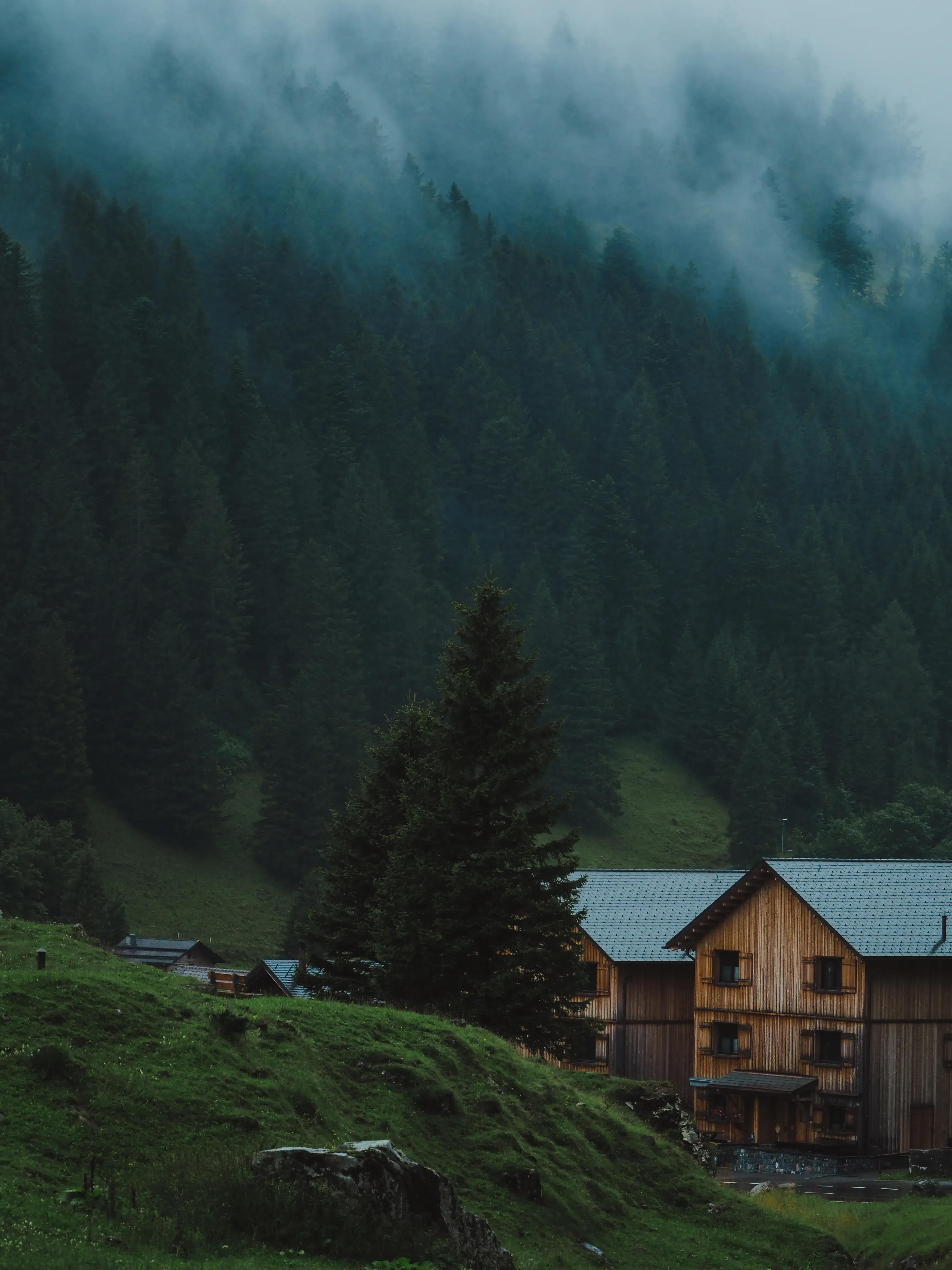 Traditional wooden alpine huts (Baite) partially obscured by heavy fog.