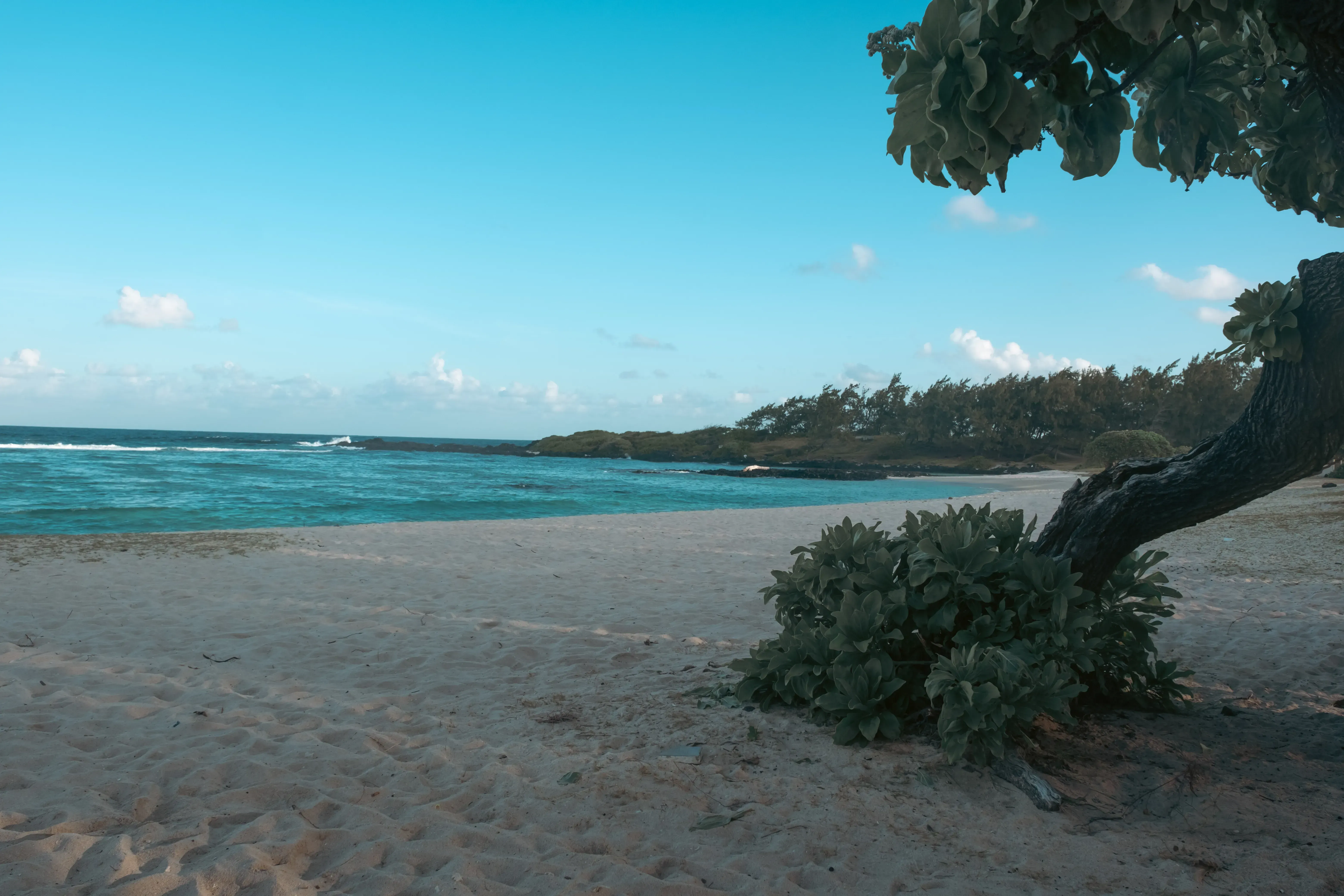 The pristine white sands and palm trees of La Cambuse beach on the rugged East Coast of Mauritius.