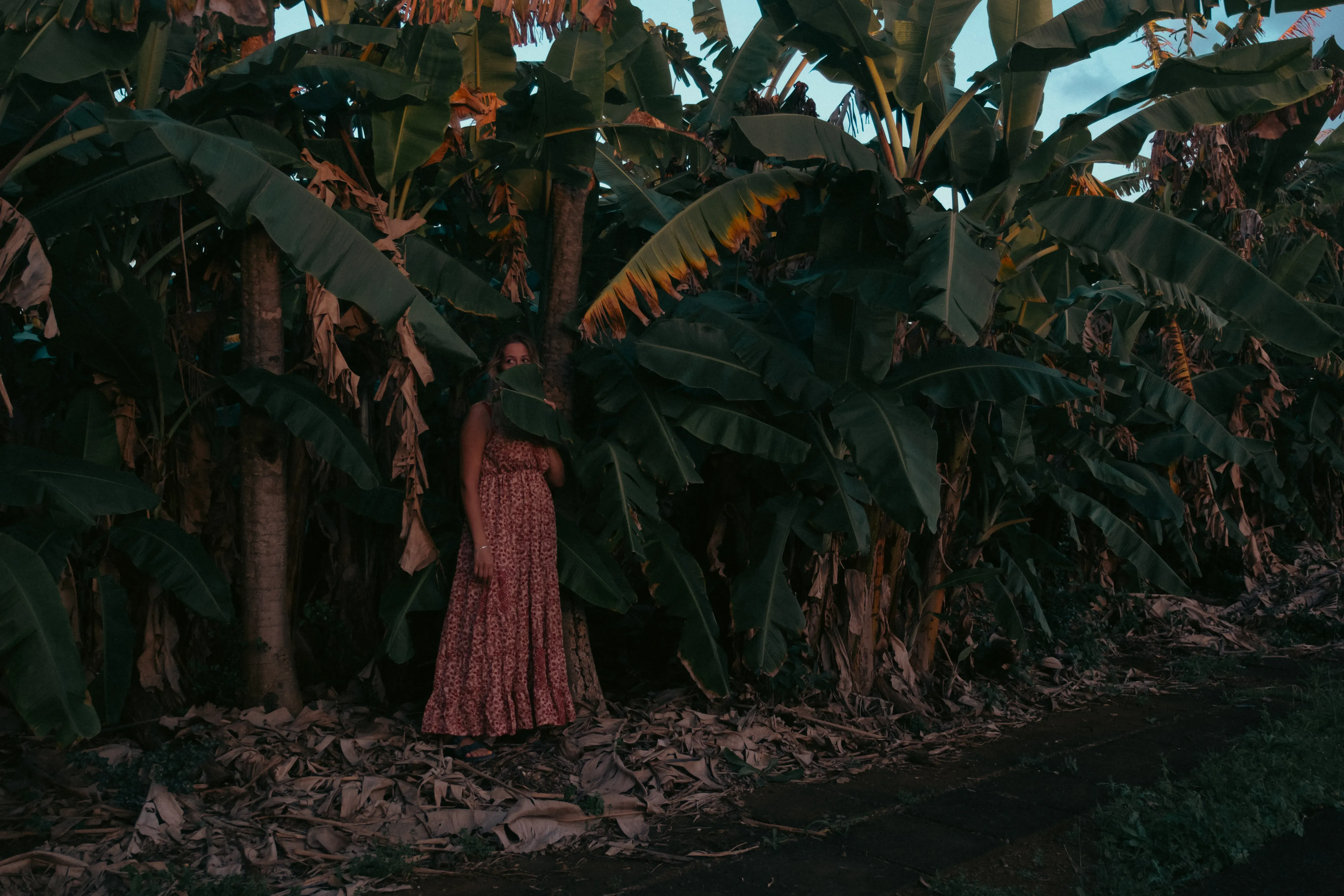 Letizia standing amongst the large, green fronds and leaves of banana plants.