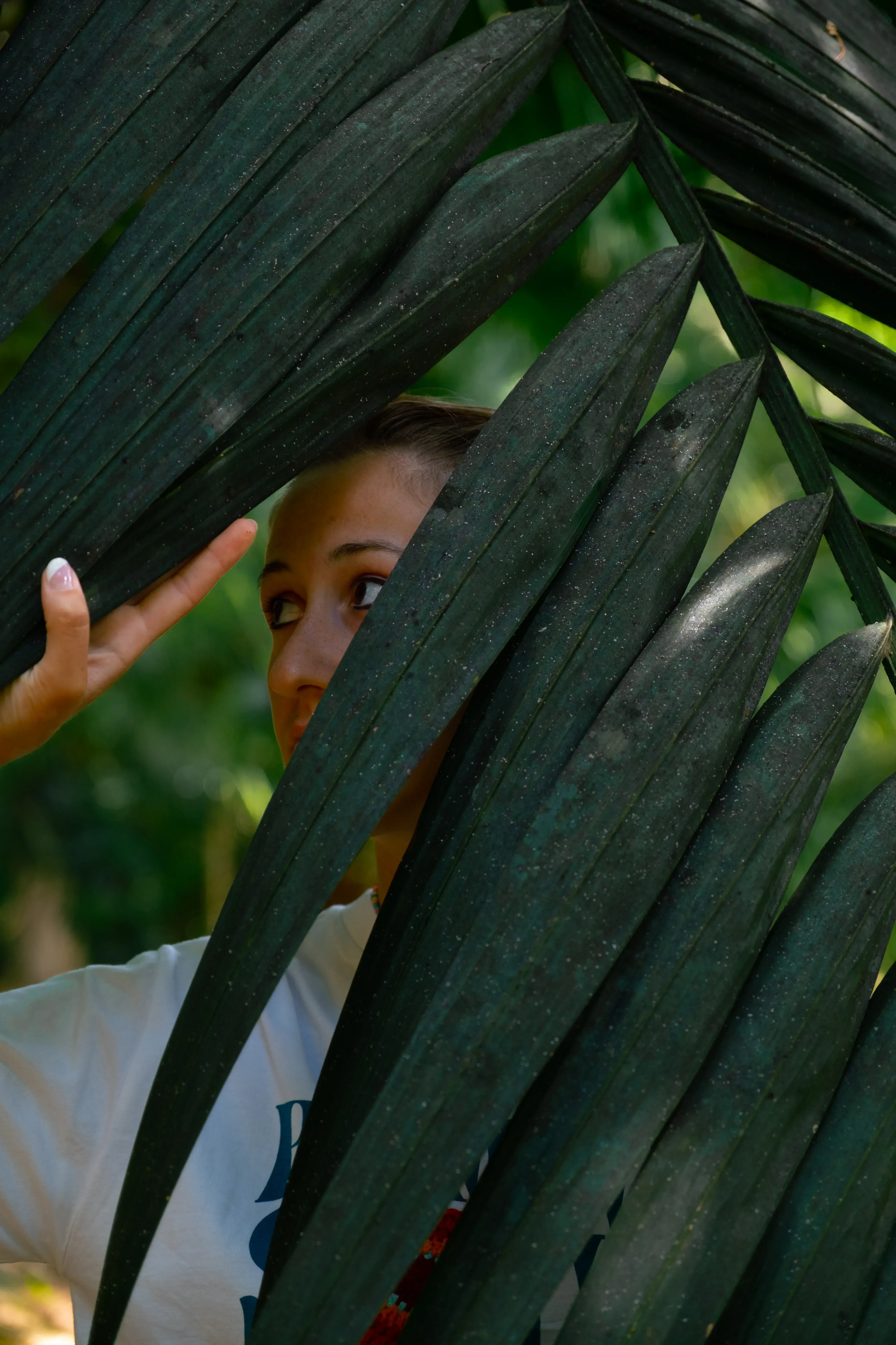 Letizia partially obscured or framed by the large, green fronds of a palm tree.