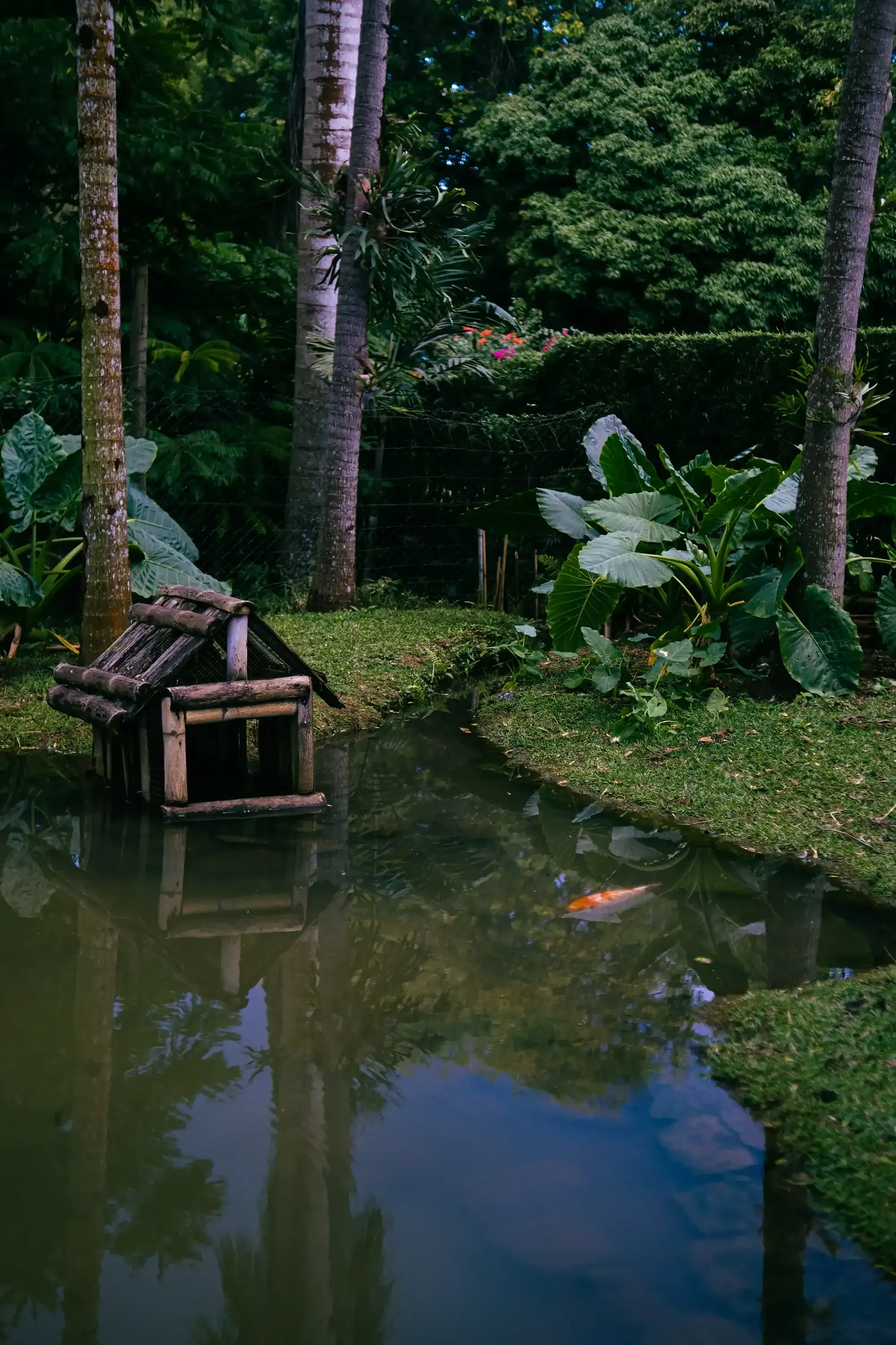 A small, calm lake or pond surrounded by tropical vegetation in the Mauritian landscape.