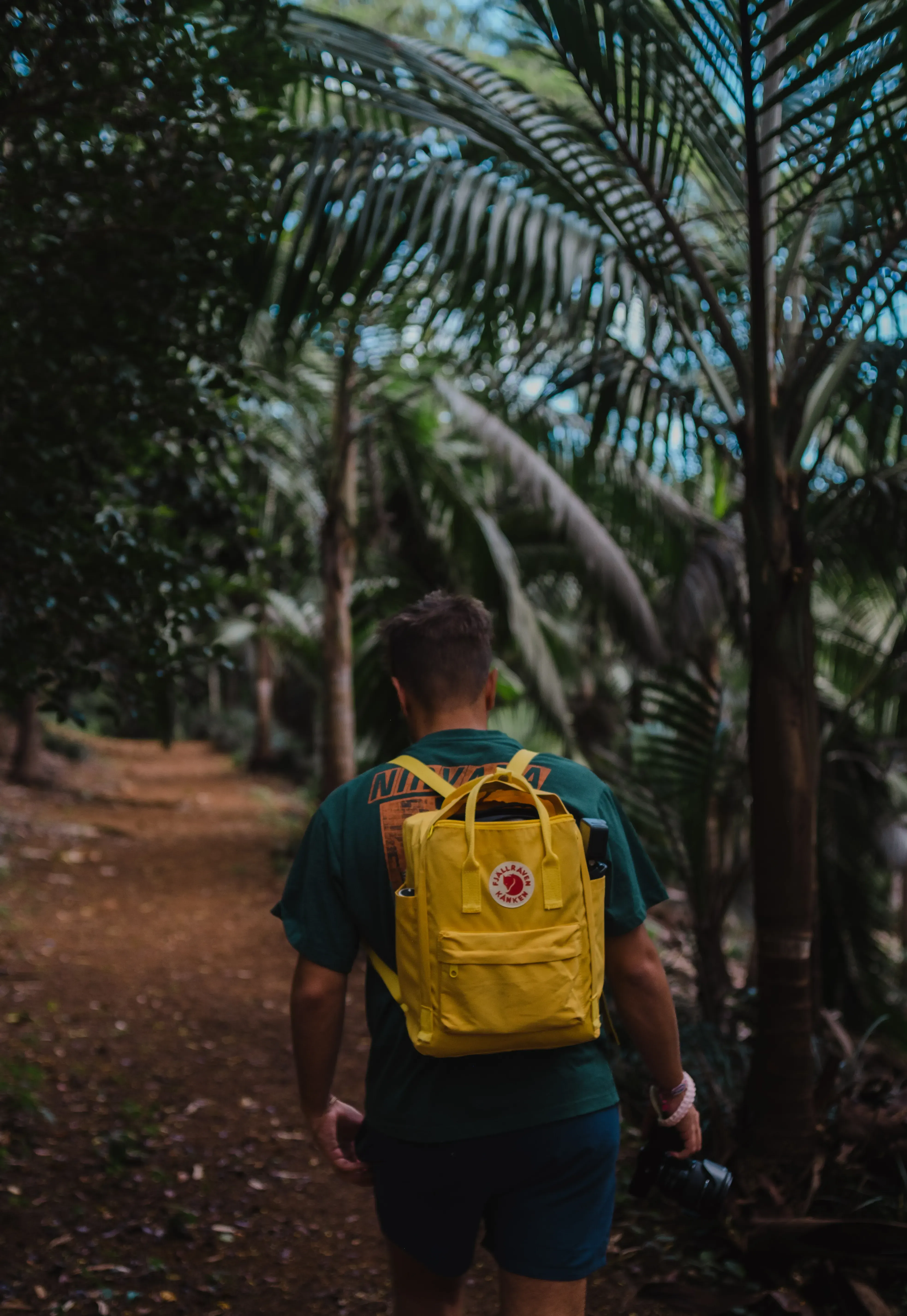 Ieser walking along a winding path through the dense, lush tropical forest of the island.