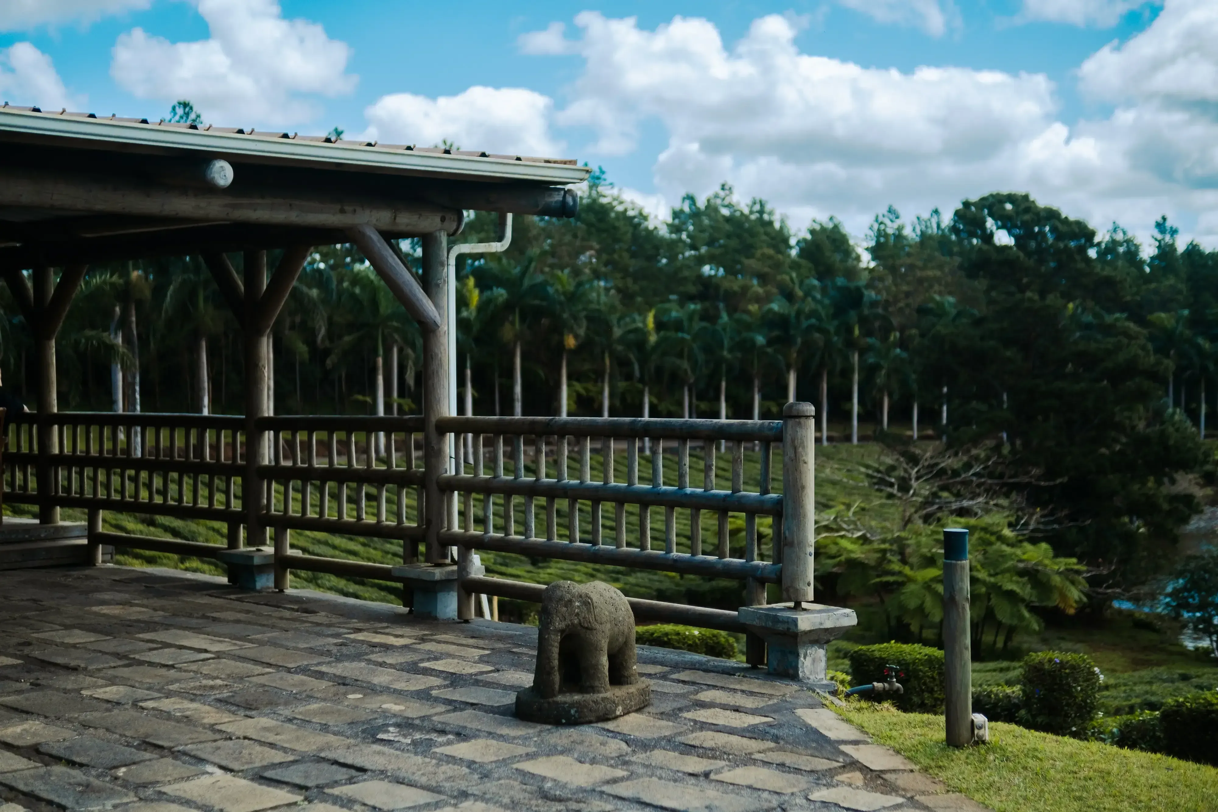 Panoramic view of the rolling green tea plantations and reservoir seen from the terrace of the Bois Chéri tea bar.