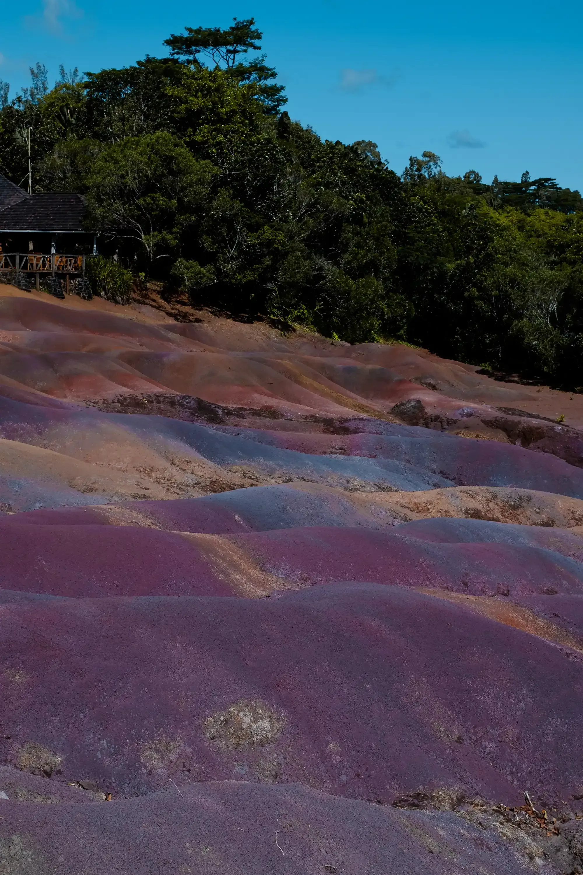 The unique, undulating geological formation known as the Seven Coloured Earths (Terres de Sept Couleurs) near Chamarel.