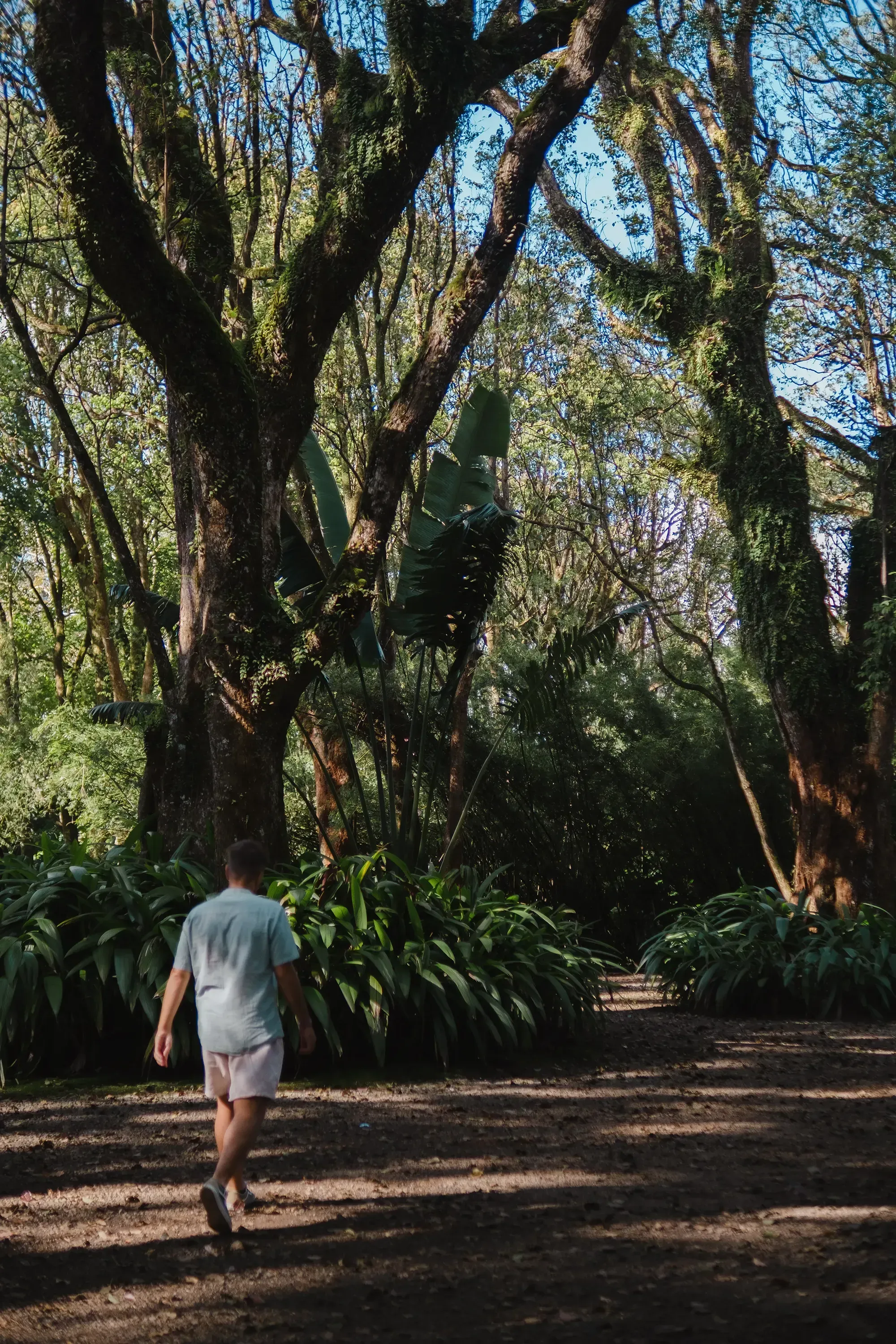 Ieser walking in the parking area outside a historic colonial-era house in Mauritius.