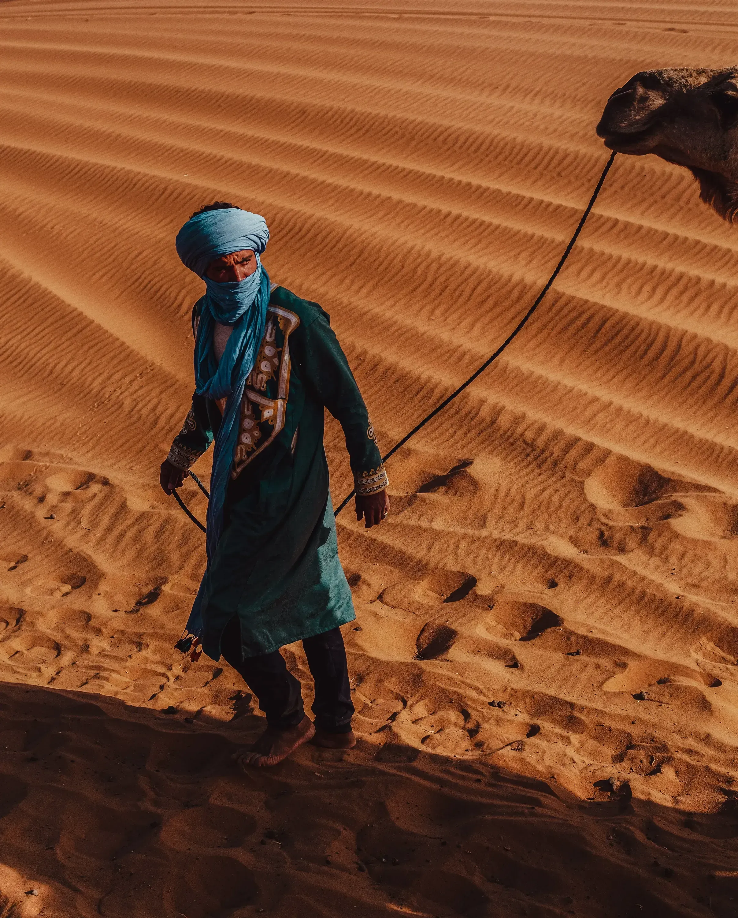 The guide walking alongside the camel, leading it across the dunes.