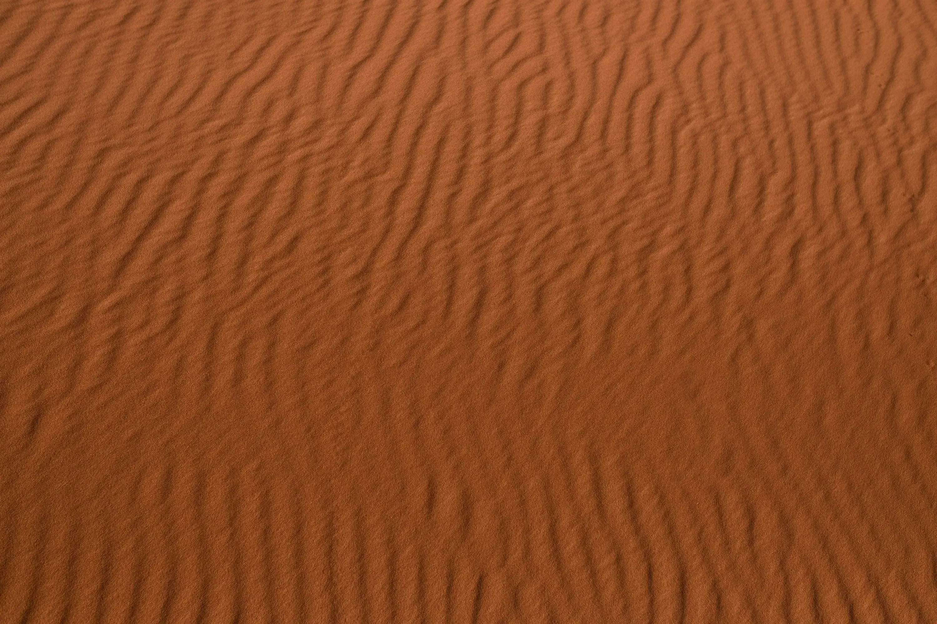 Close-up of the delicate, rippled texture and patterns in the desert sand.