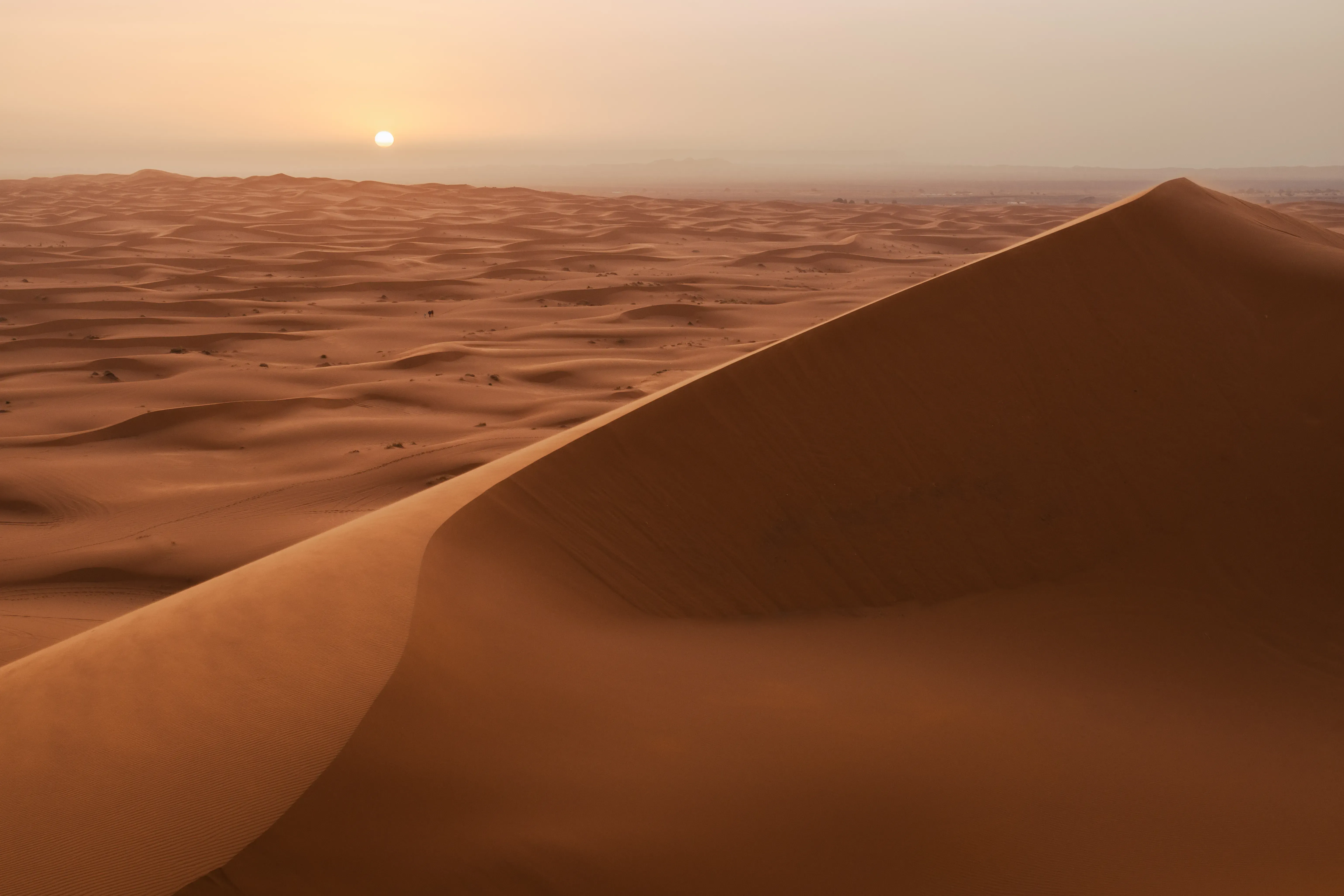 The massive, sweeping sand dunes of the Merzouga Sahara Desert.