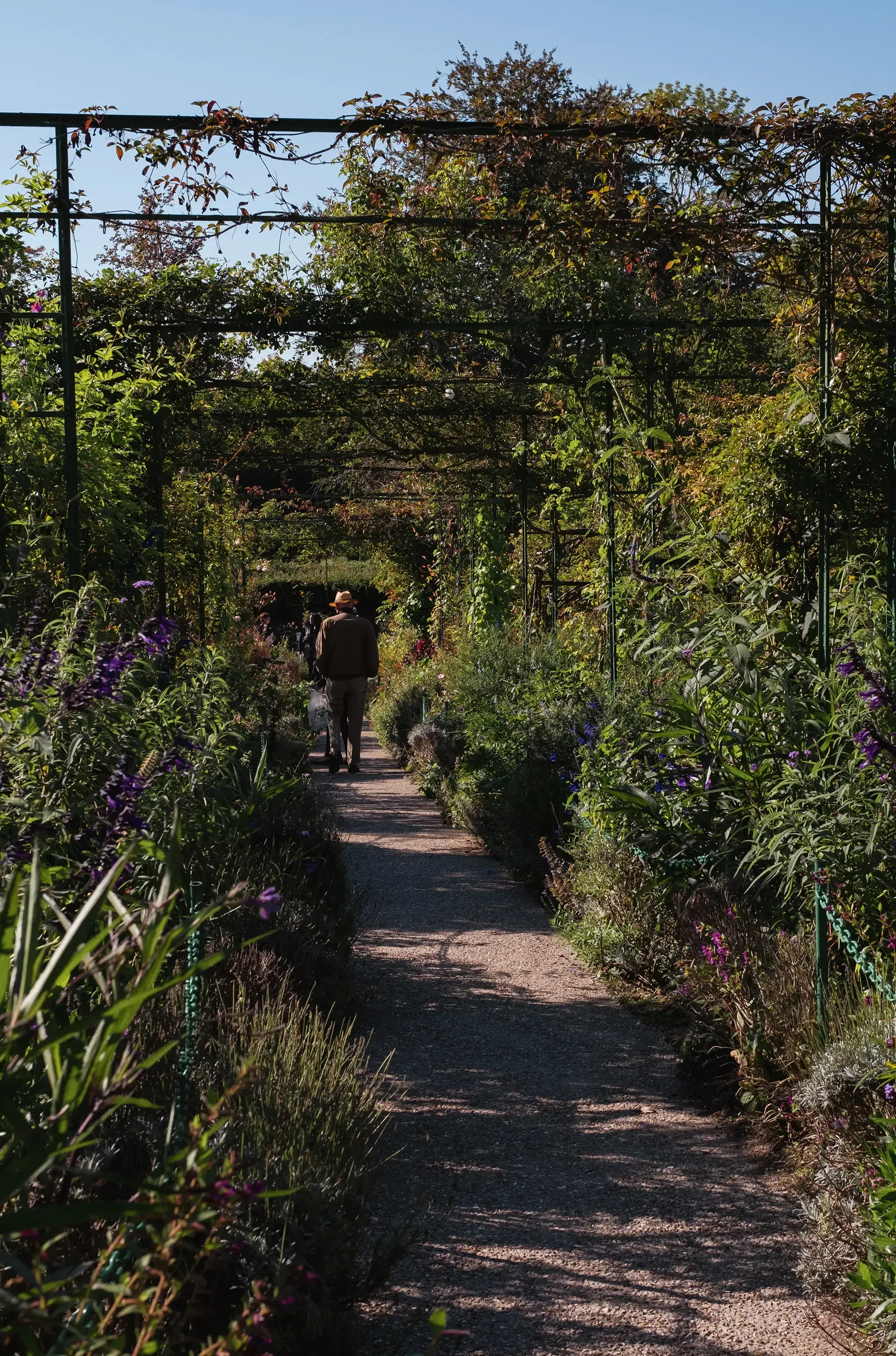 A section of the extensive flower beds or pathways within Claude Monet's garden.
