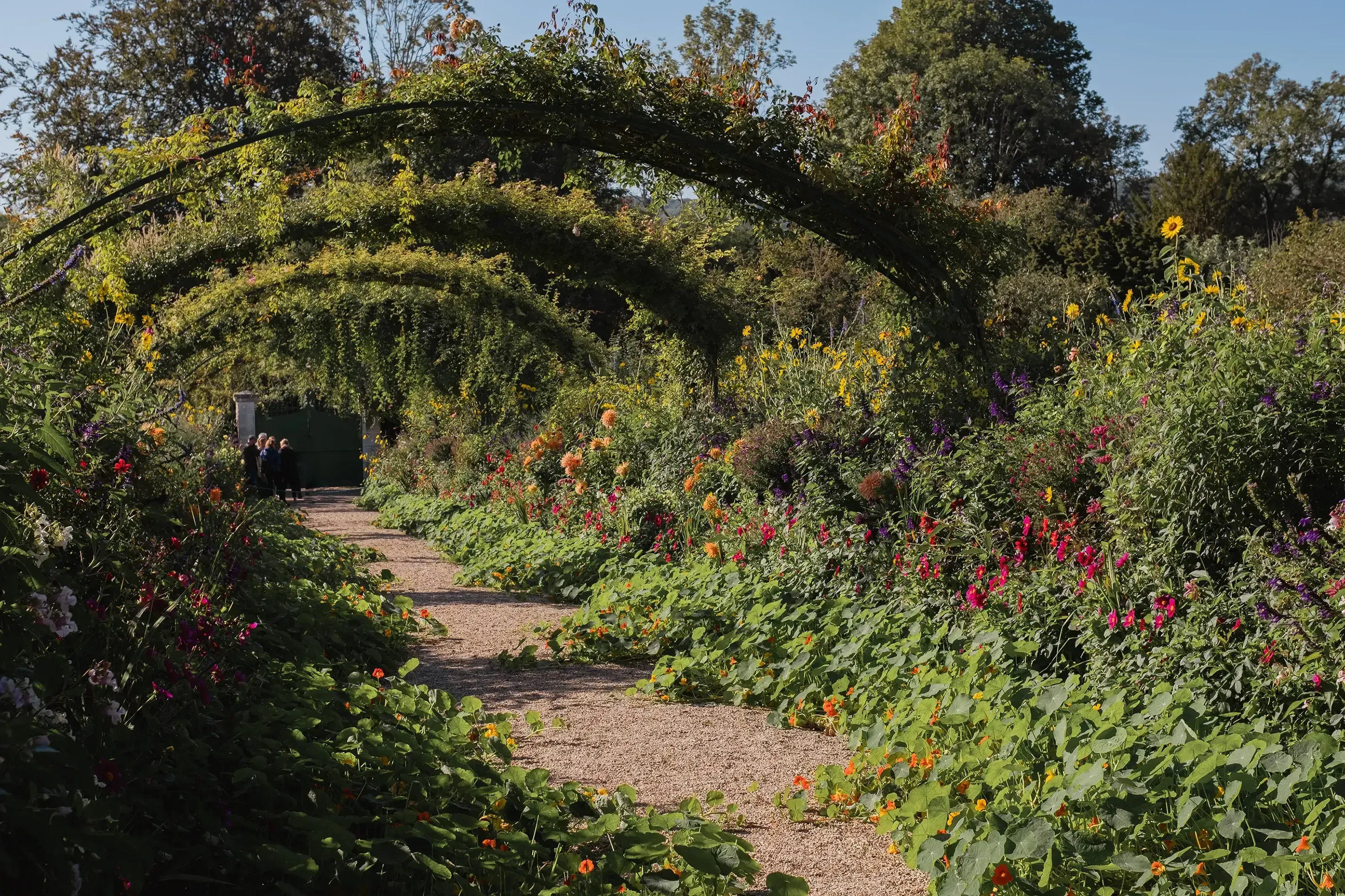 A view down the central alley or pathway (the "nave") of the Clos Normand flower garden.