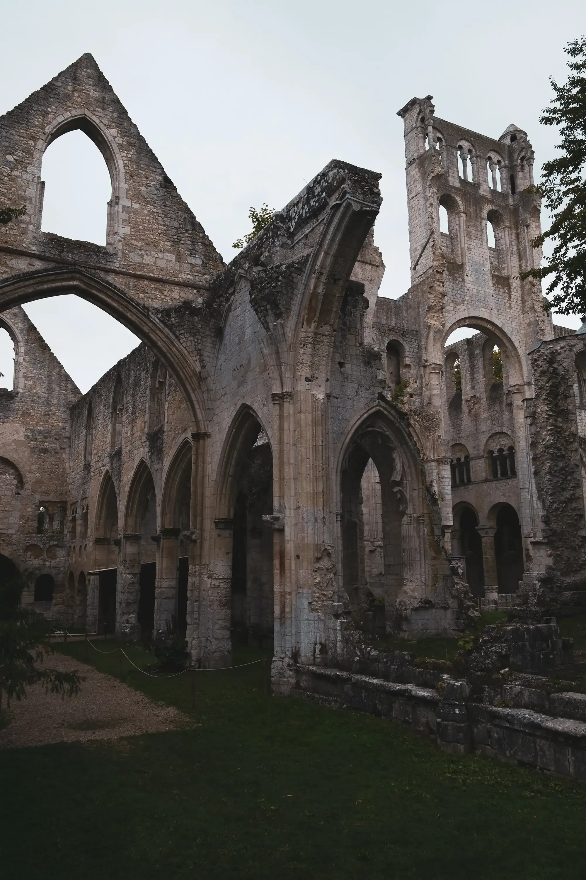 A wide shot of the extensive stone ruins of Jumièges Abbey, surrounded by grass.