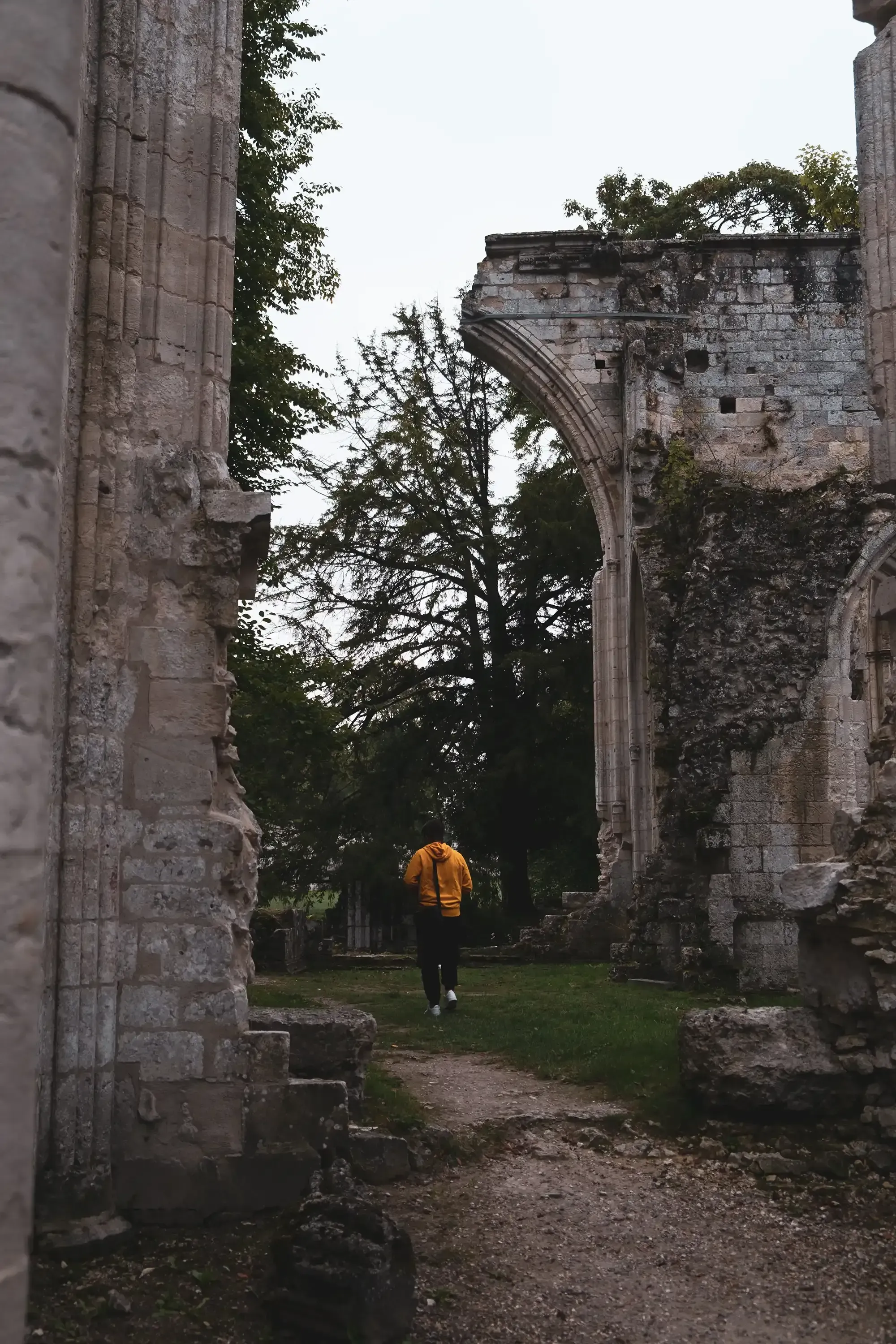 Ieser standing inside the large, roofless stone remains of the Jumièges Abbey.