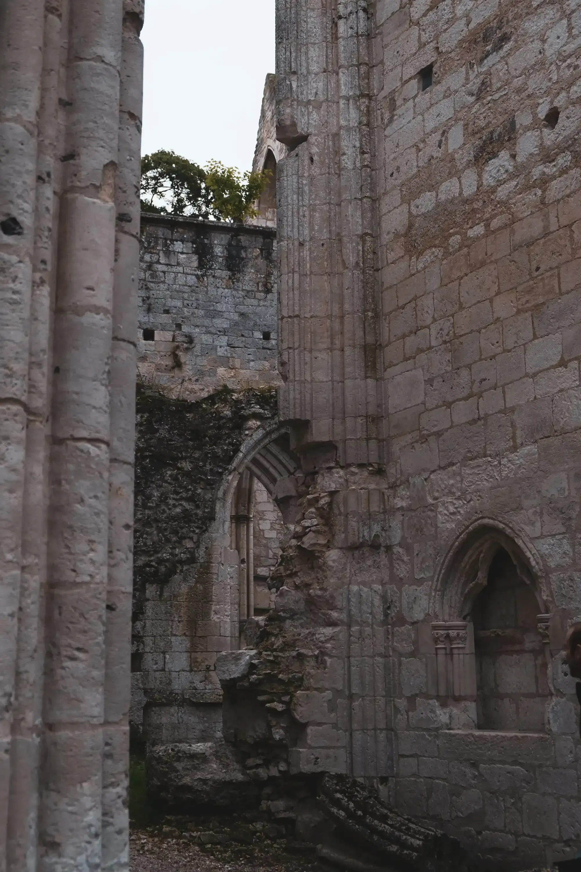 A close-up of a high, fragmented stone wall section of the Abbey ruins.