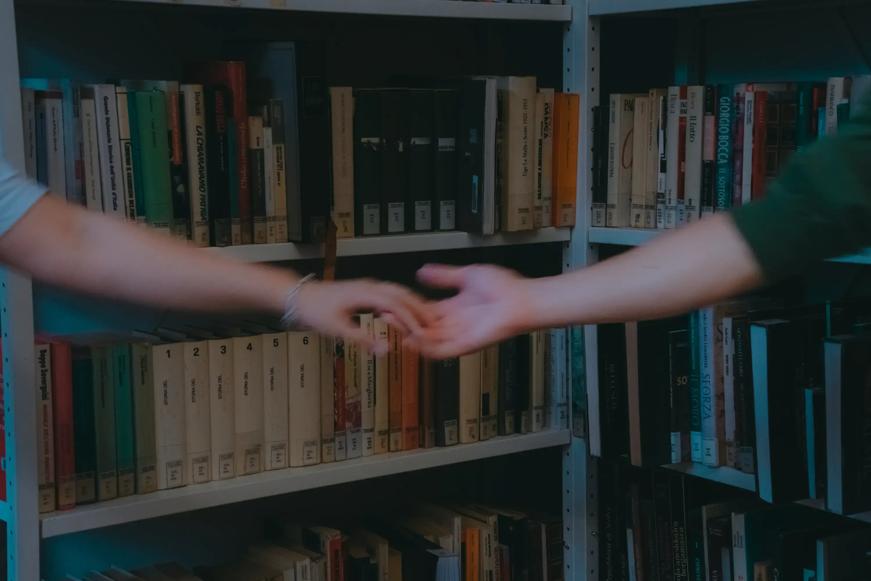 Close-up of Paolo and Paulina's hands running along the spines of books on the shelf.