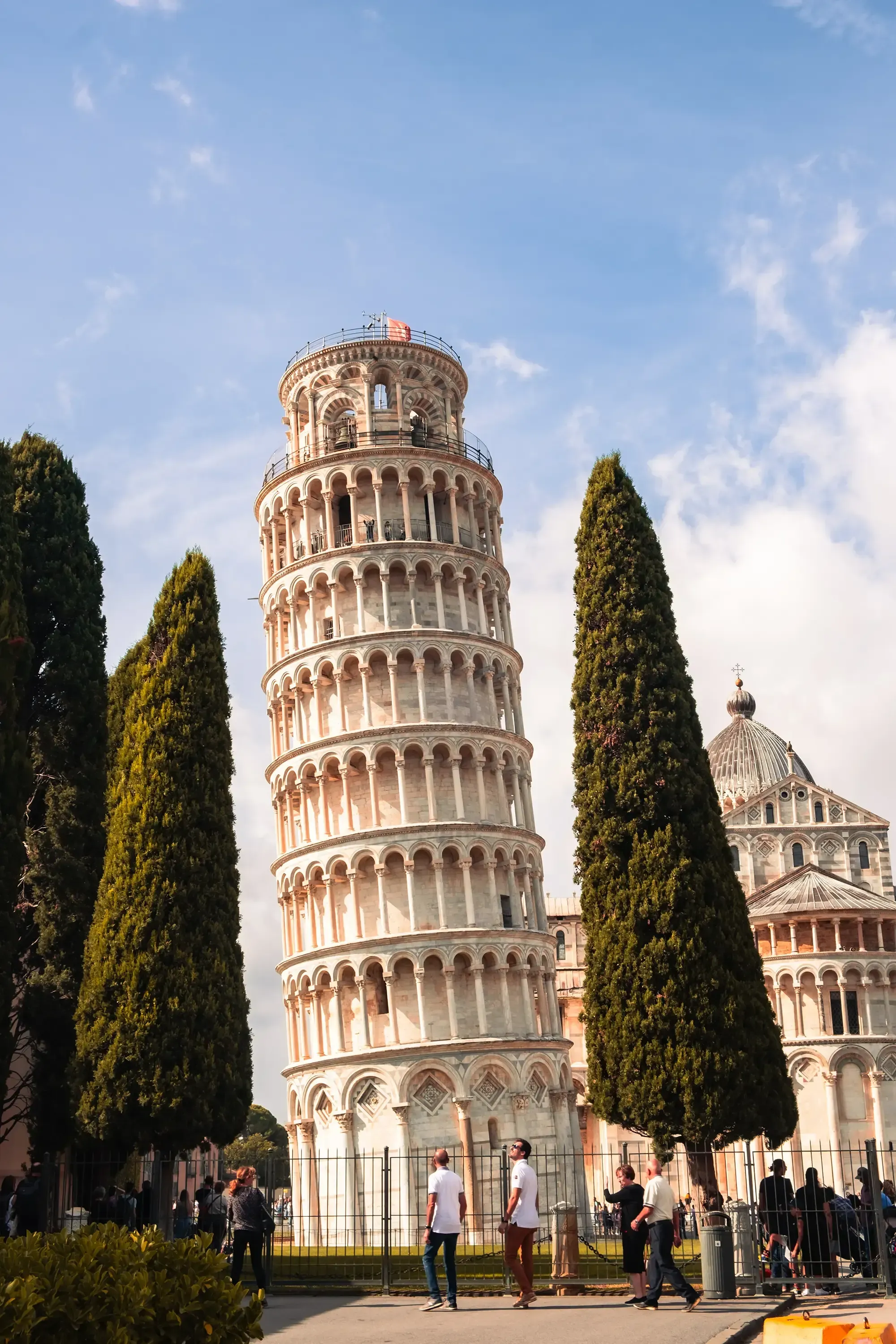 The Leaning Tower of Pisa framed naturally by two tall, dark green cypress trees.