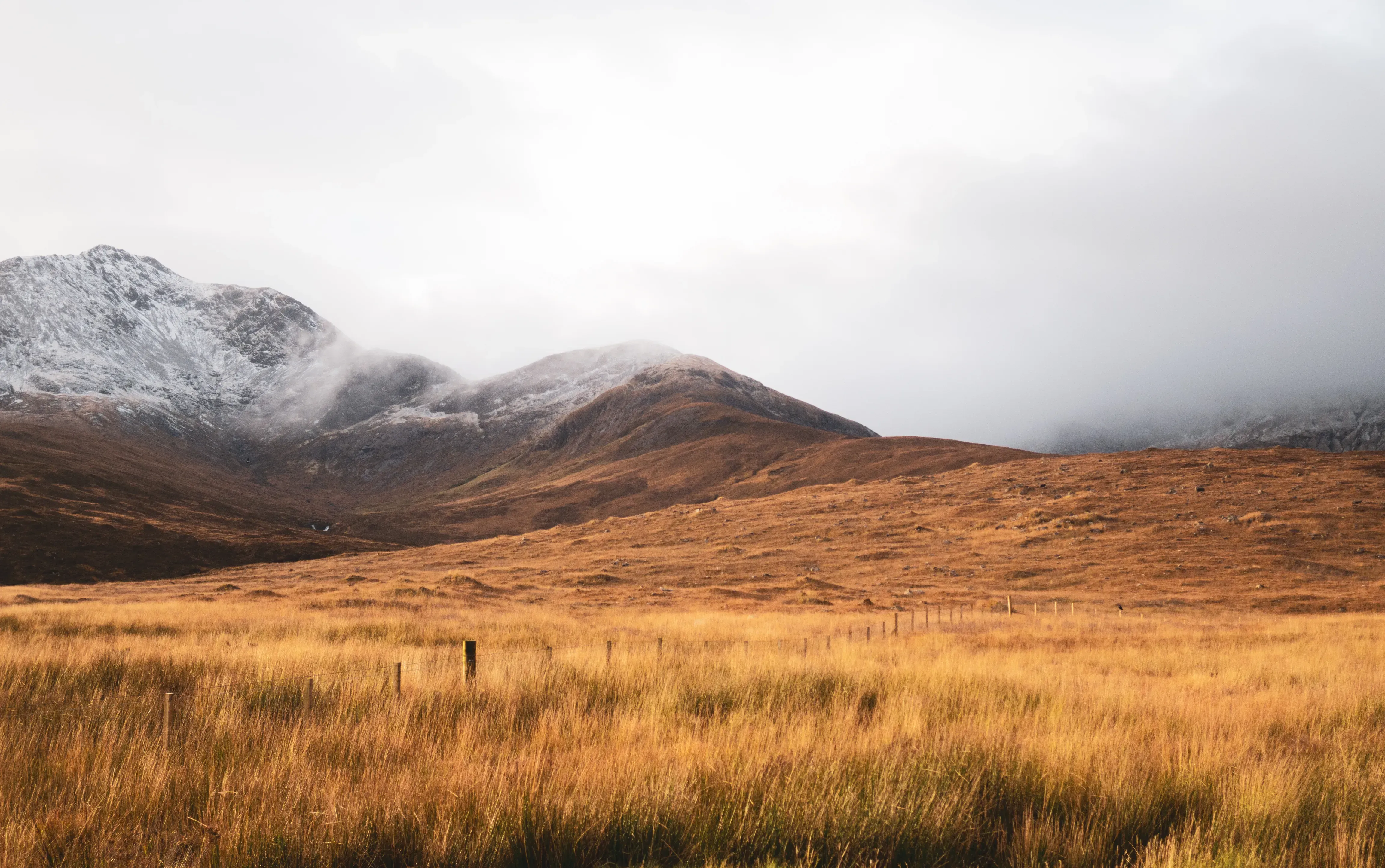 Rolling mountains next to wide fields of tall green grass.