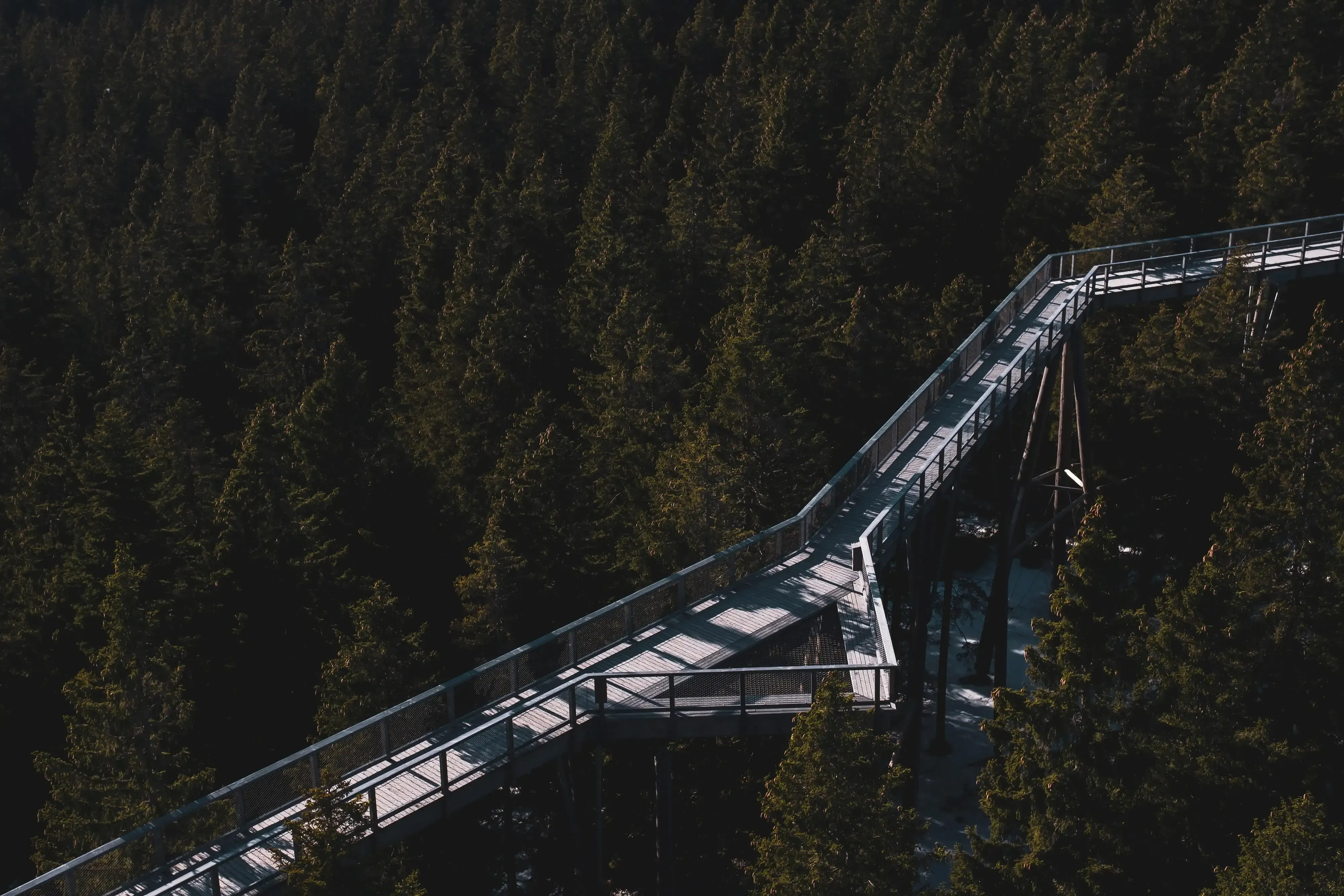 A high-angle, aerial view of the spiral structure and wooden walkway of the treetop path (Pot med krošnjami) near Rogla.