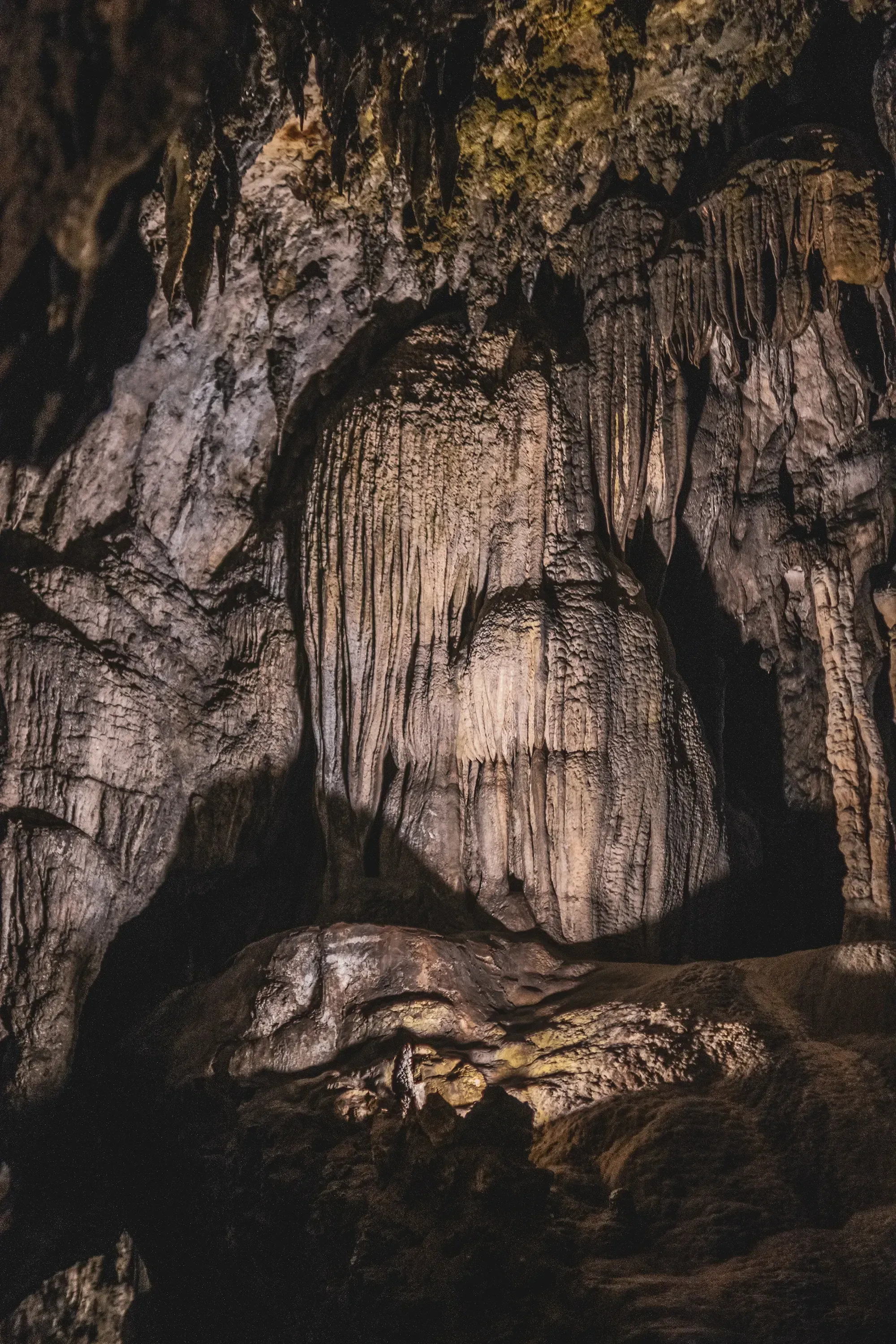 Large, detailed stalactite and stalagmite formations hanging from the ceiling inside the Postojna Cave system.