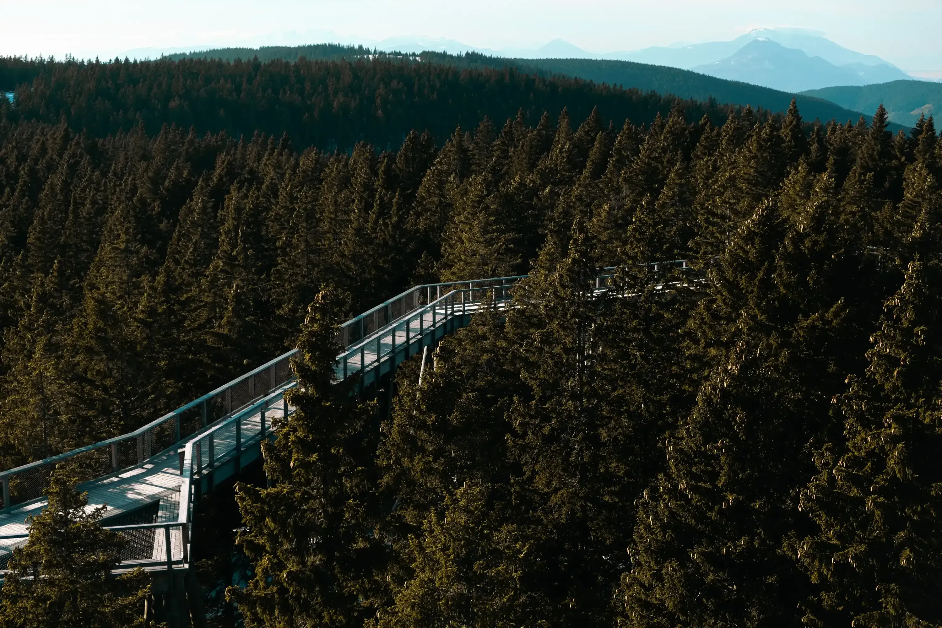 View of the winding wooden walkway as seen from the high starting point of the spiral slide.