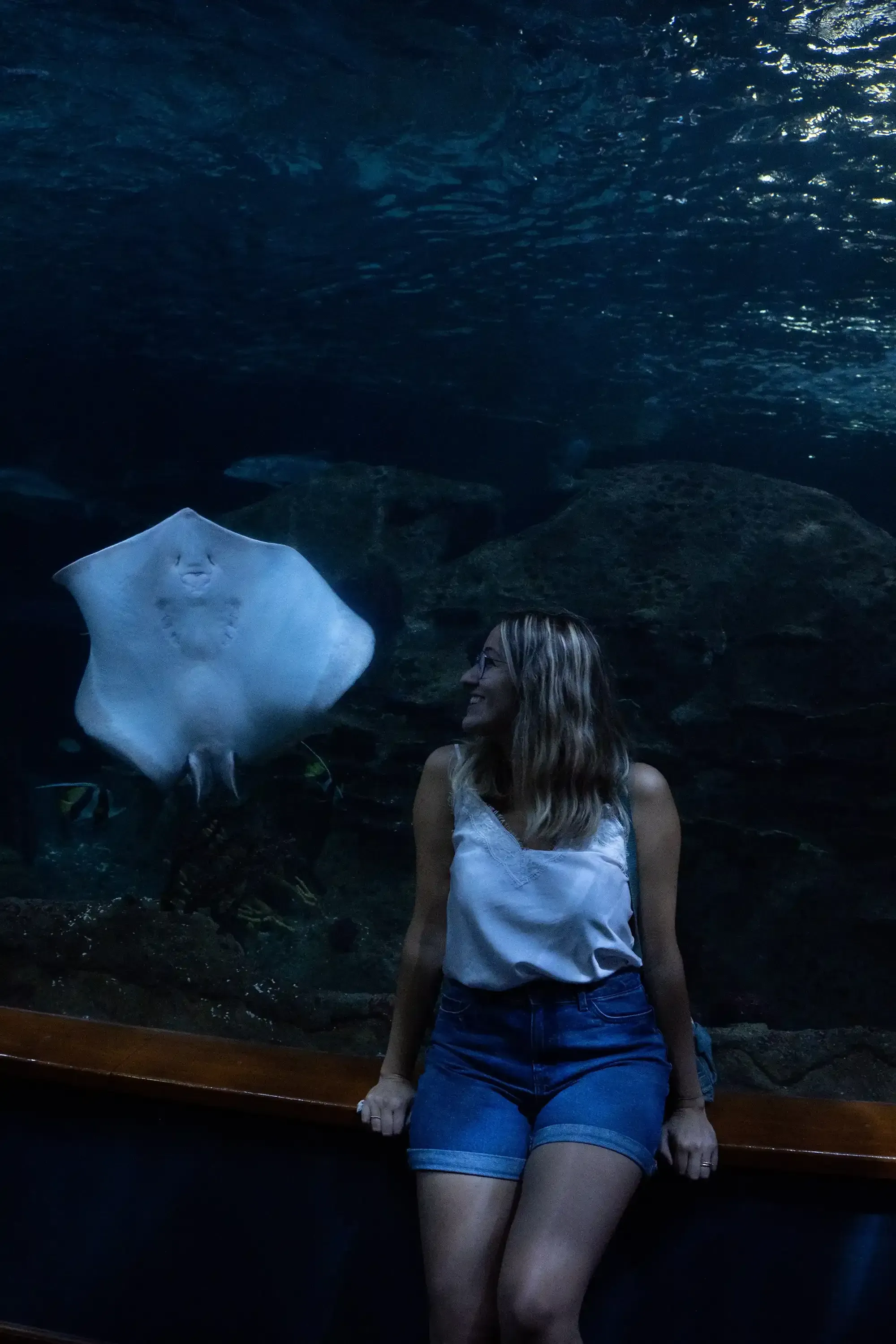 Letizia standing by the glass of a tank, observing a large stingray or ray gliding past at Loro Parque.