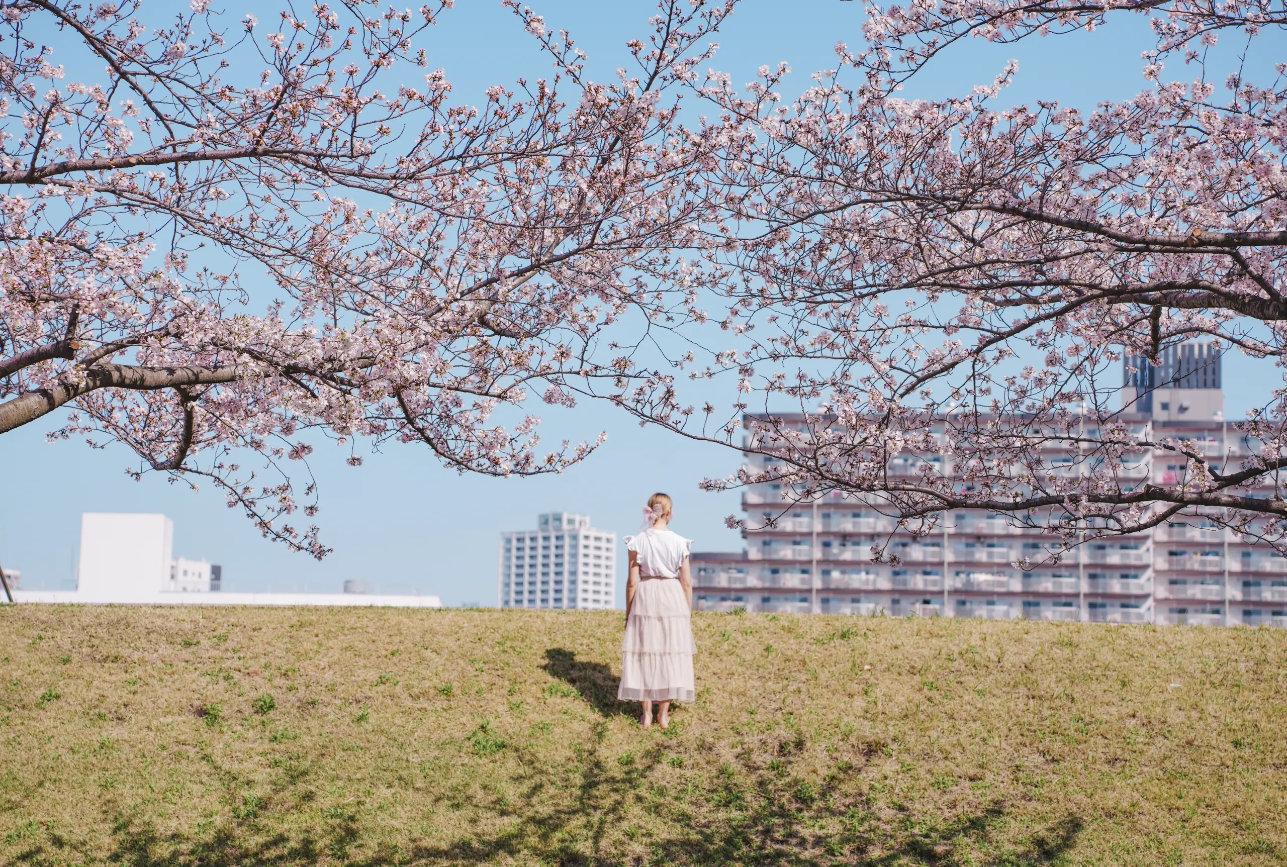 Letizia during sakura in tokyo
