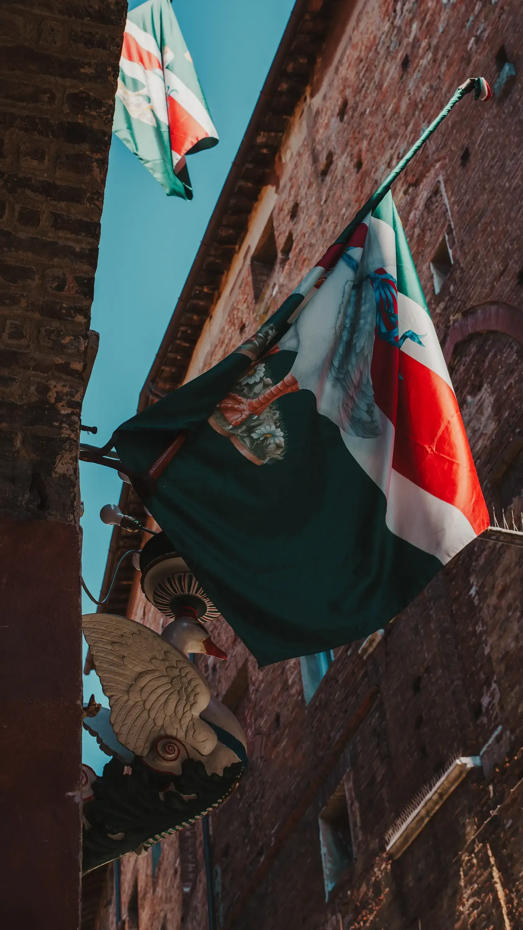 The standard or flag of the Contrada della Selva (Forest) in Siena.