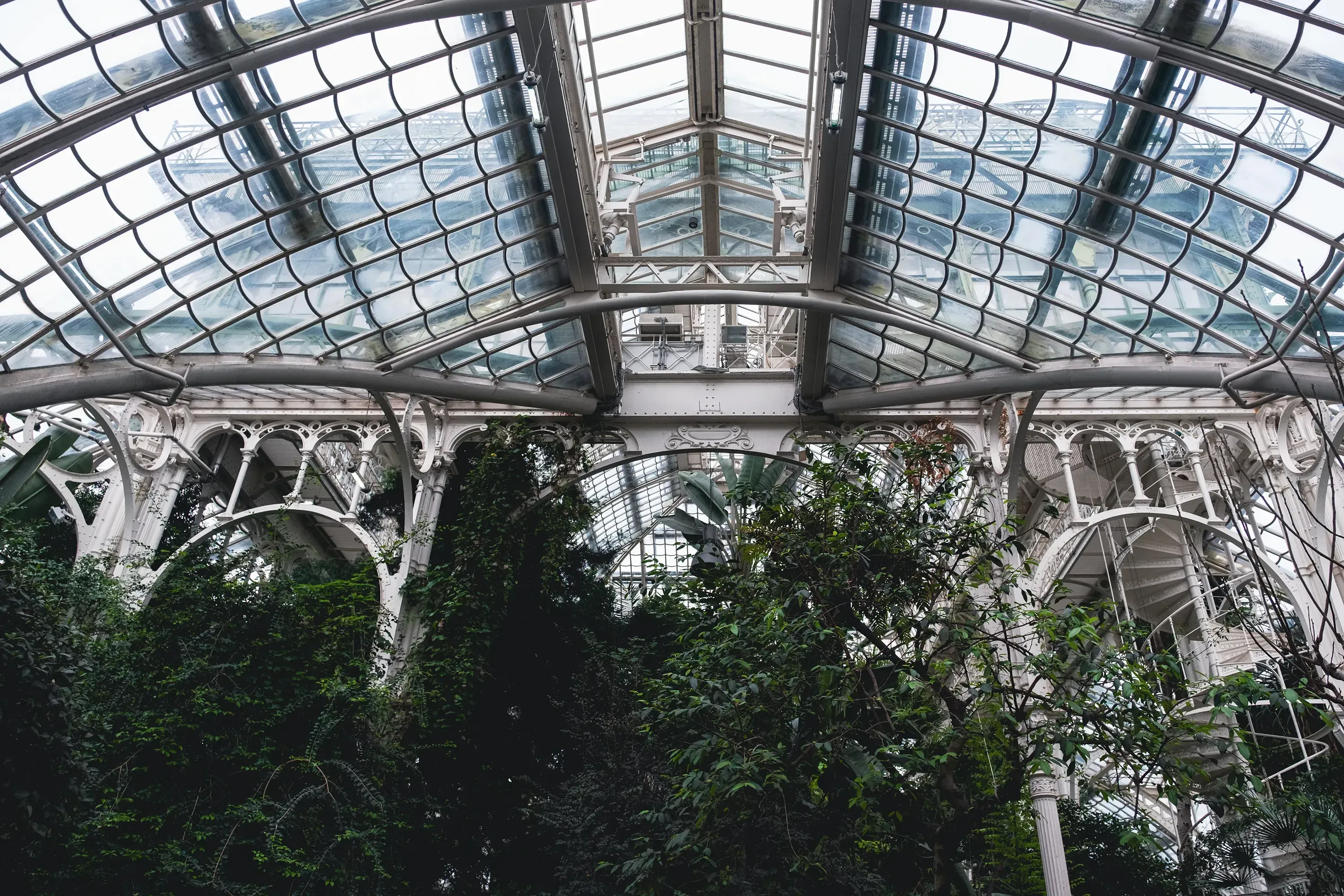 View looking up at the high, intricate glass and metal structure of the Palm House ceiling.