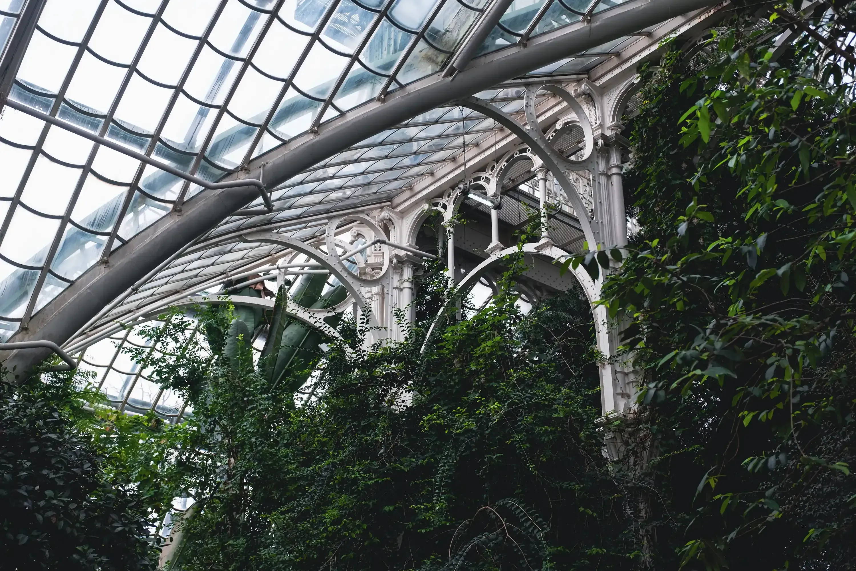 Close-up architectural detail of the Palmenhaus ceiling framework.